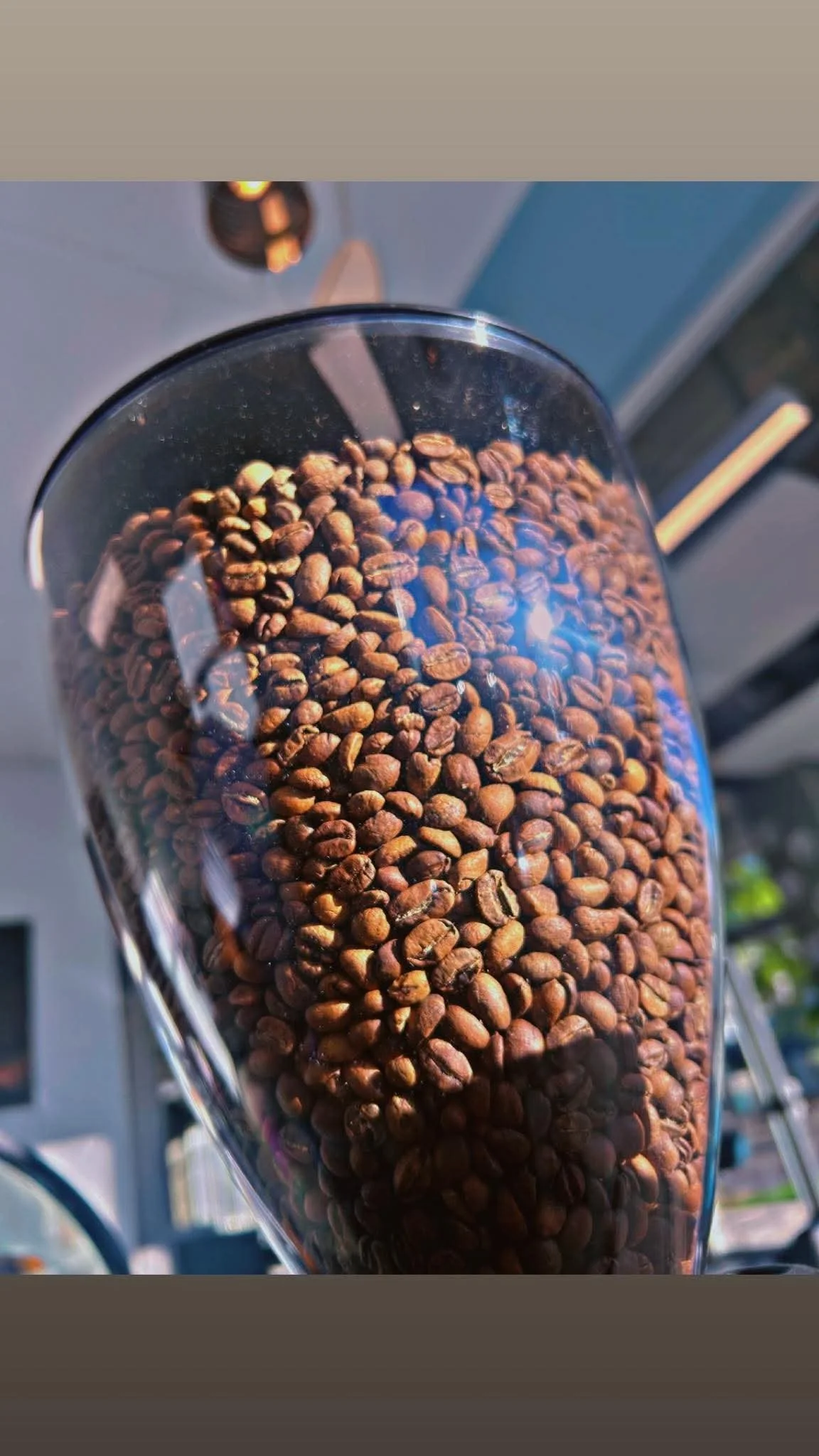 Close-up view of roasted coffee beans in a glass container, with sunlight reflecting on the surface.