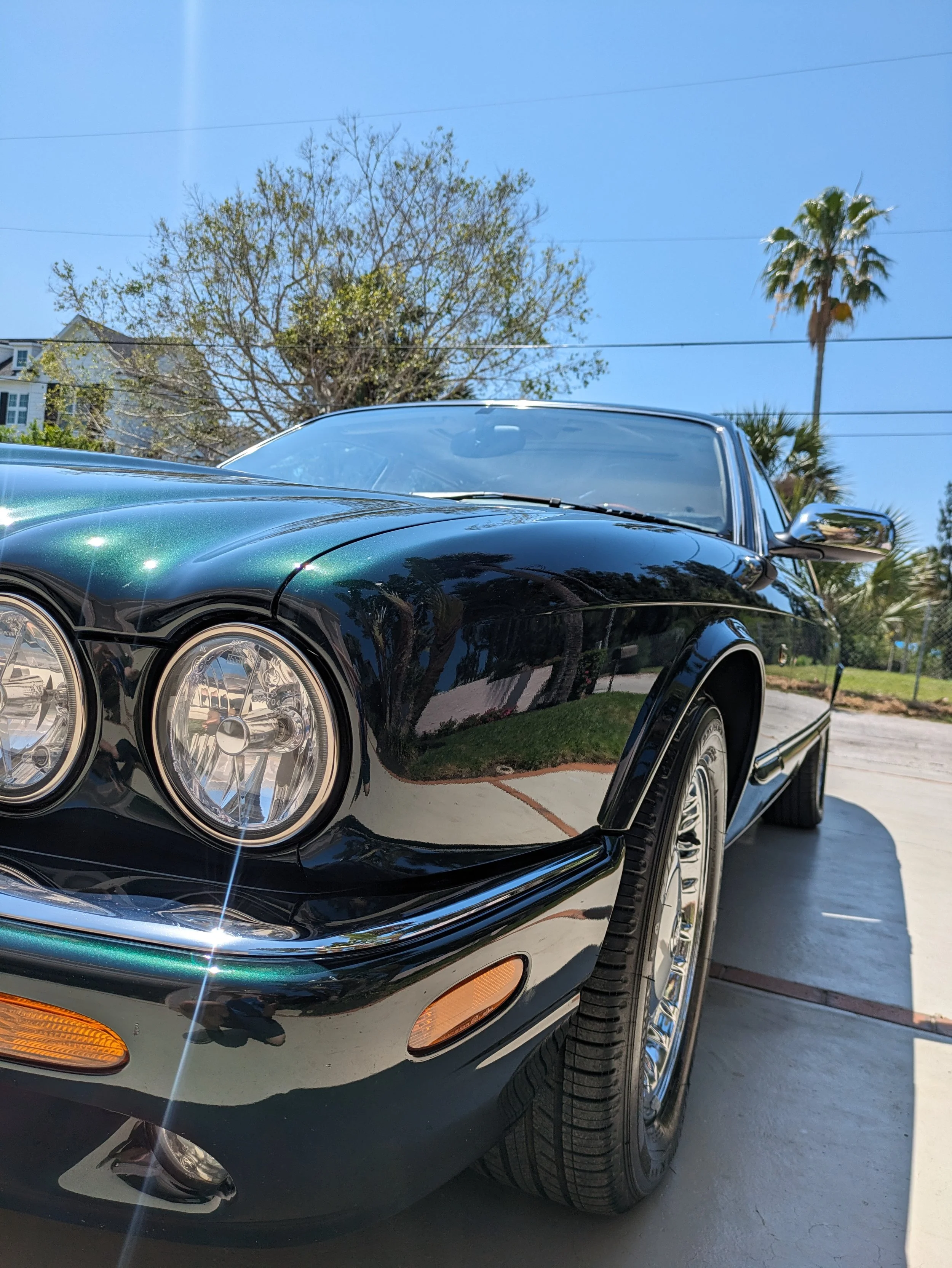 Jaguar Detail