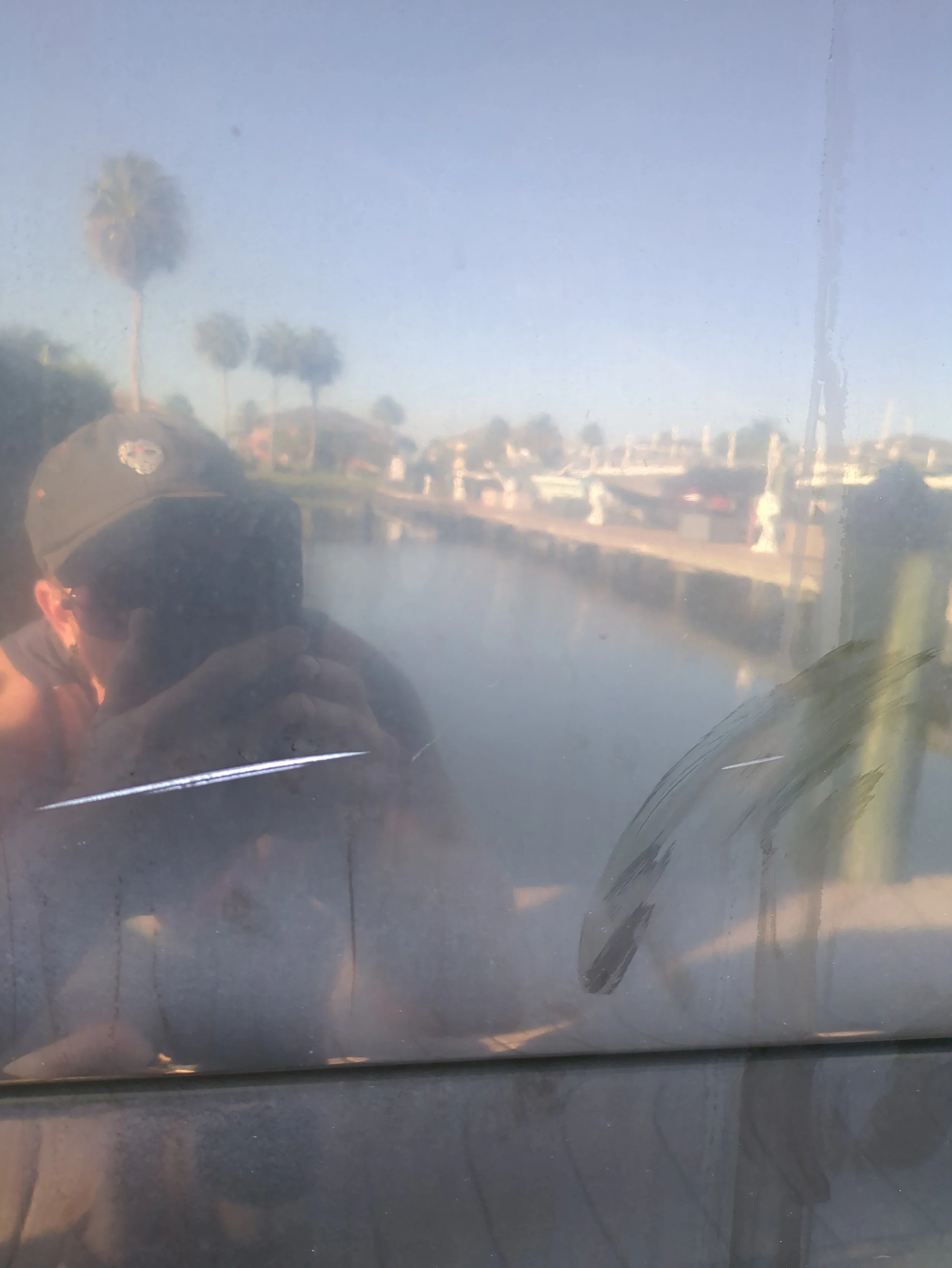 IMG_20230907_084835.jpg