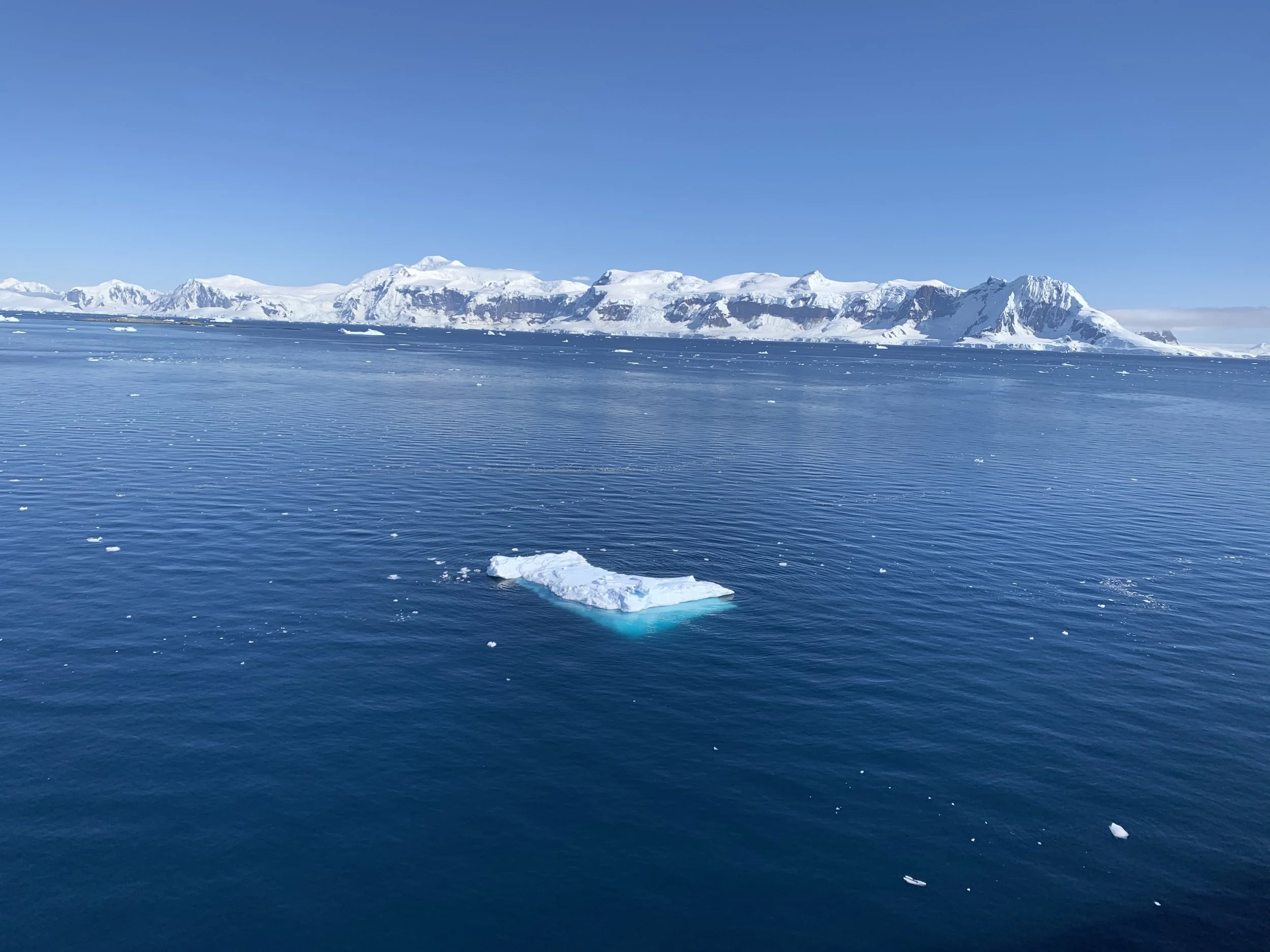 A vast icy ocean with a large iceberg floating in the foreground, snow-covered mountainous coastline in the background, under a clear blue sky.