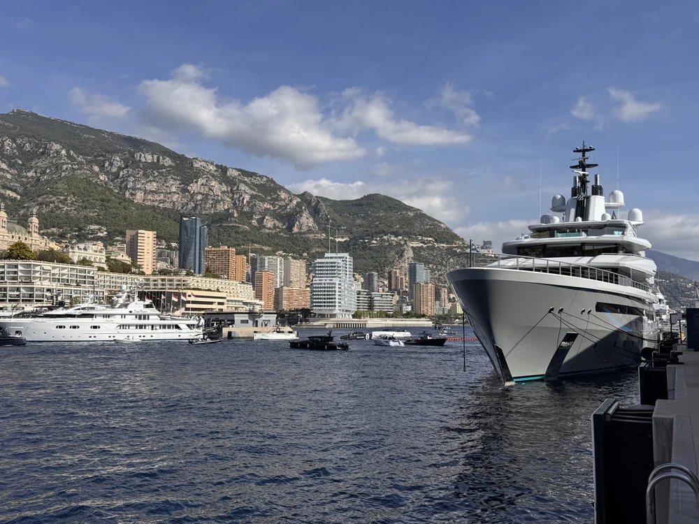 Marina with the city skyline and mountains behind