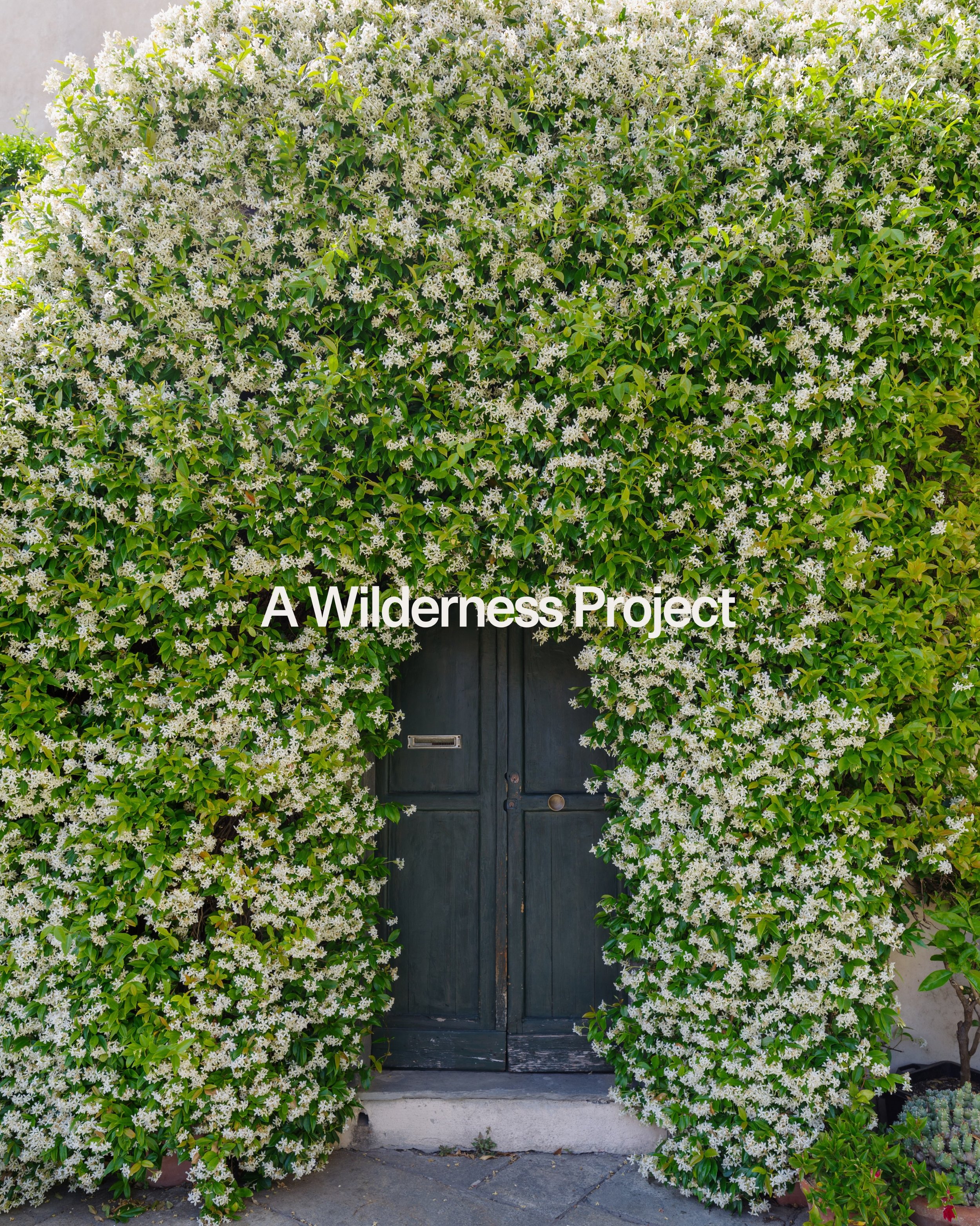 She&rsquo;d like her wedding invitations to feel like this.

This image also reminds me...A Wilderness Project is launching Scentscaping for weddings, available this September. 

Why? Because scent is the one design detail everyone remembers.

Here&r