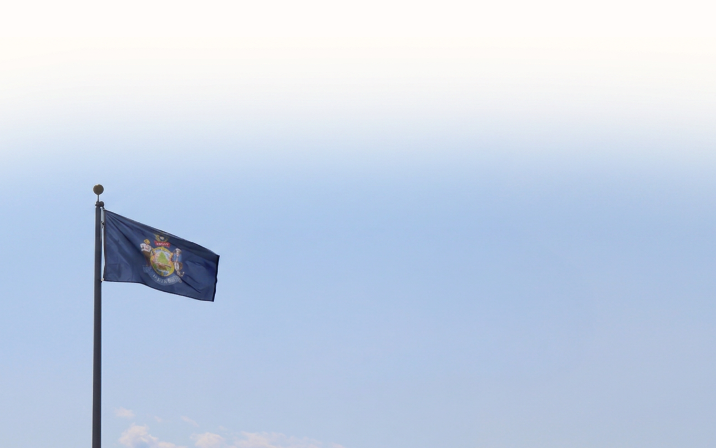 A flag with the Michigan state seal flying against a blue sky with some clouds.