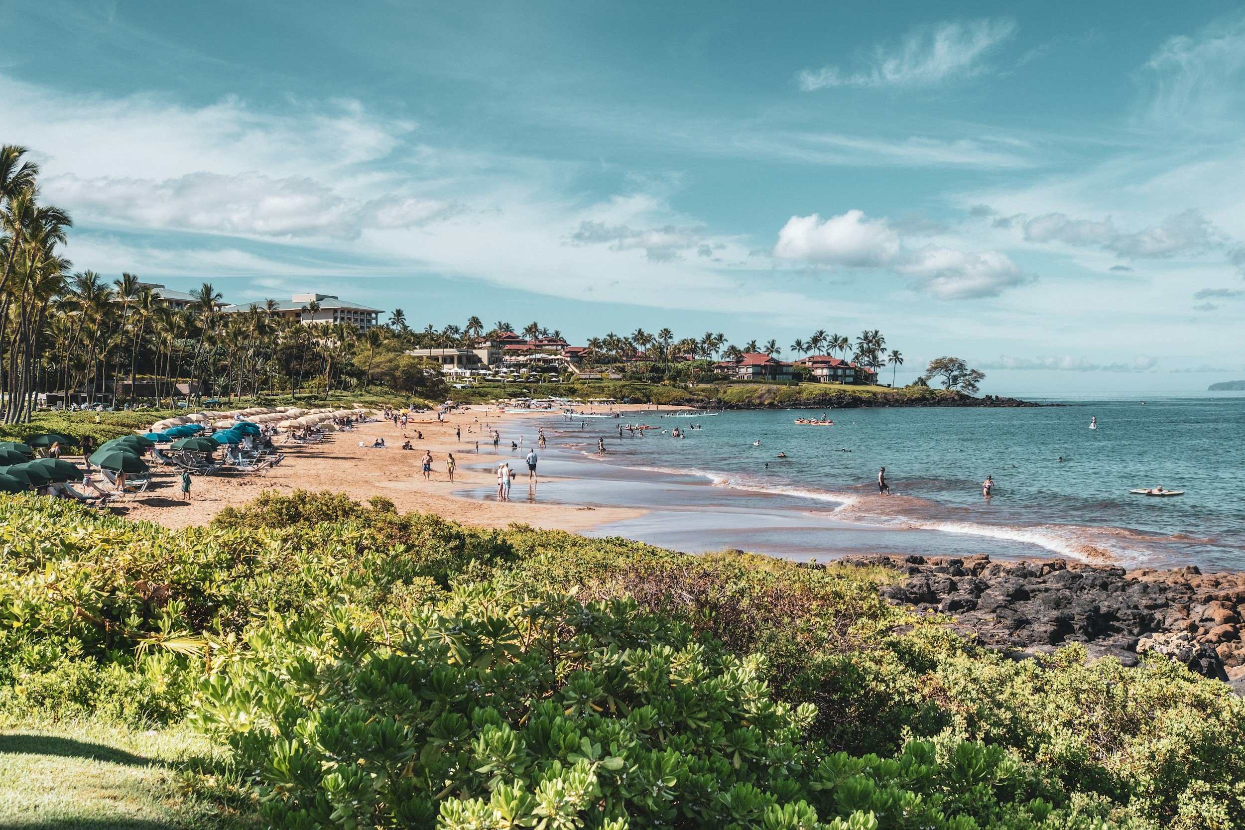 Beach scene with people swimming and walking along the sandy shore, green foliage in the foreground, palm trees, and resorts on a hill in the background under a partly cloudy sky.