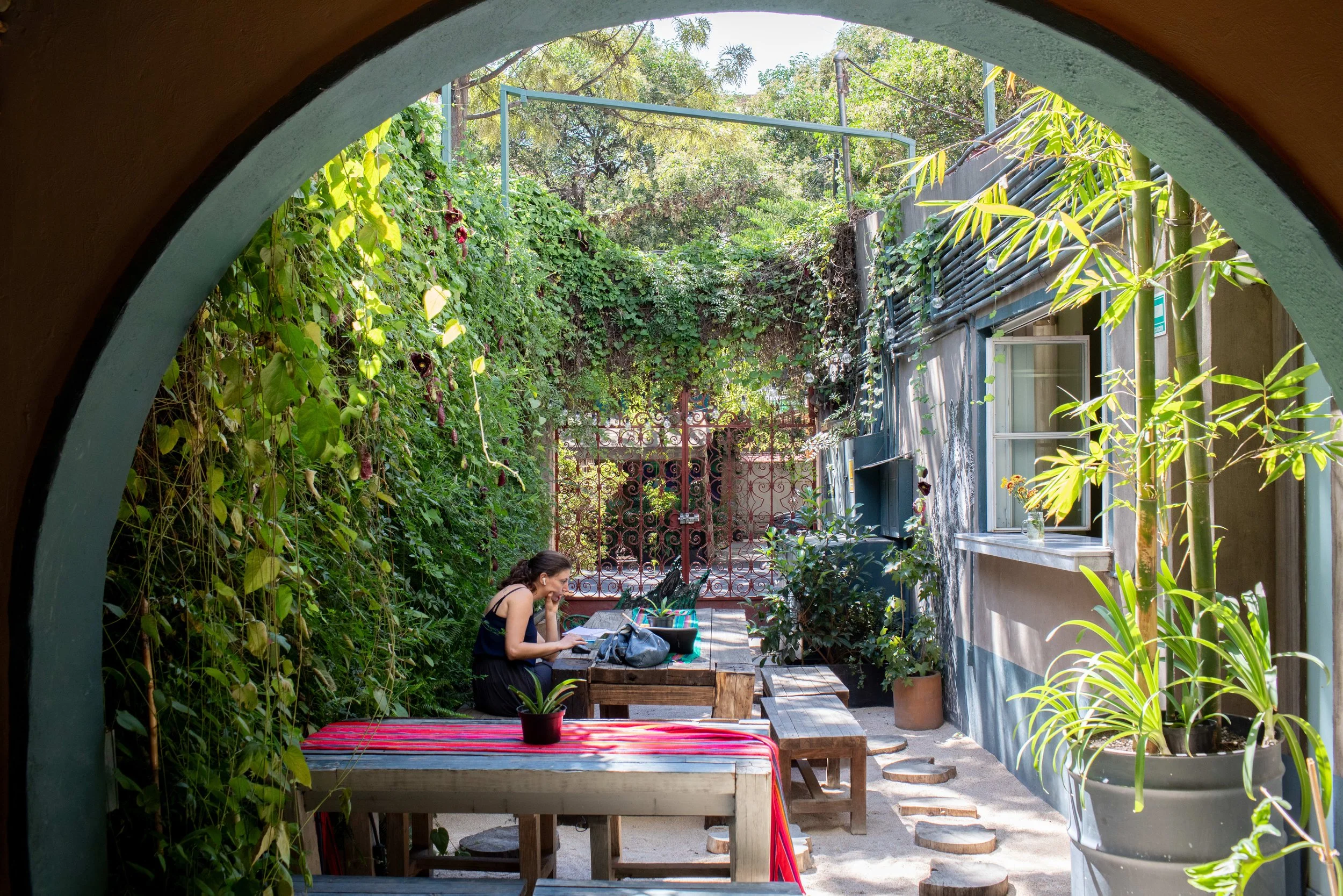 CafeComunidad_AndrewReiner_CDMX-3_c6glqb.jpg