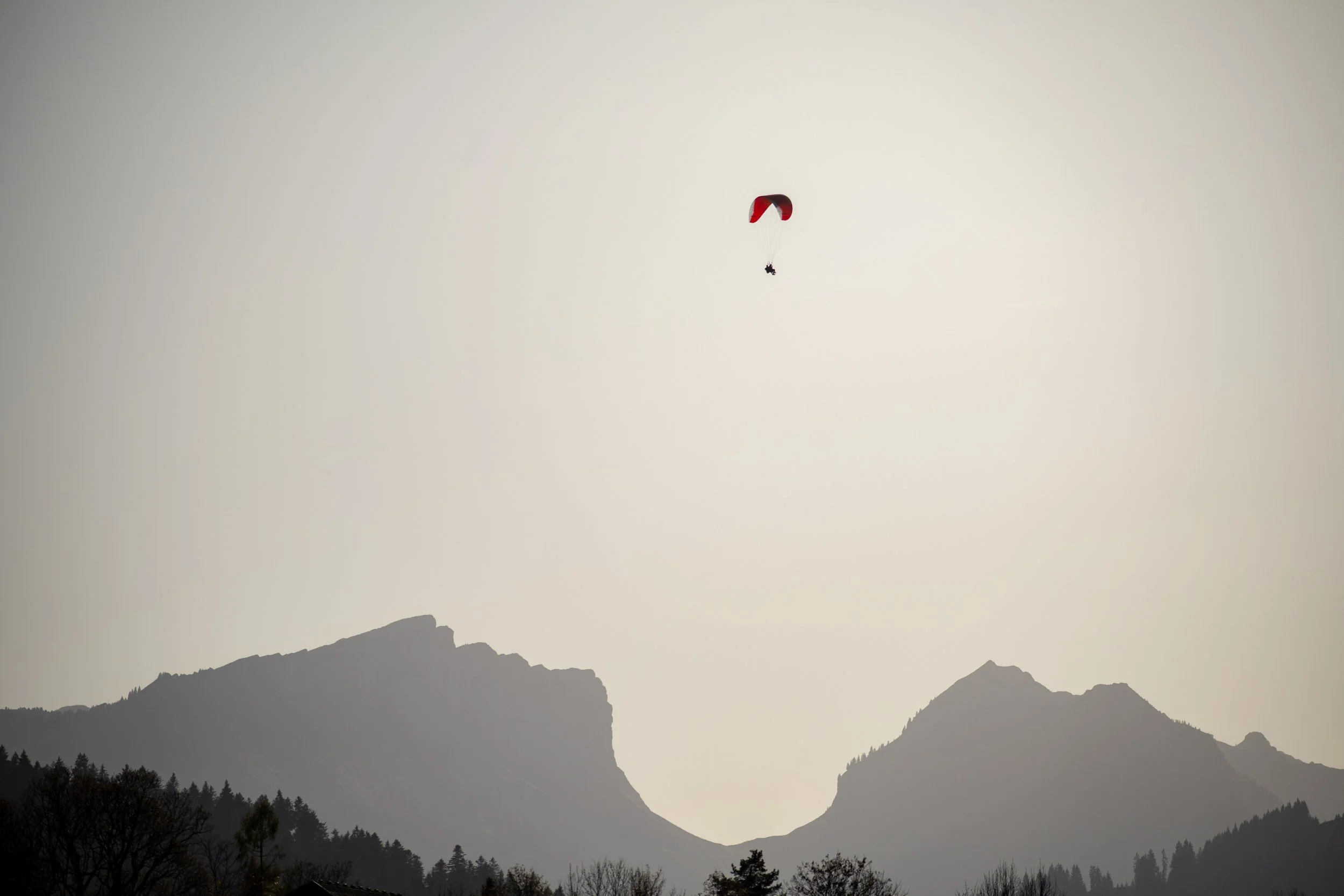 Silhouetted mountains and trees with a person paragliding in the sky above.