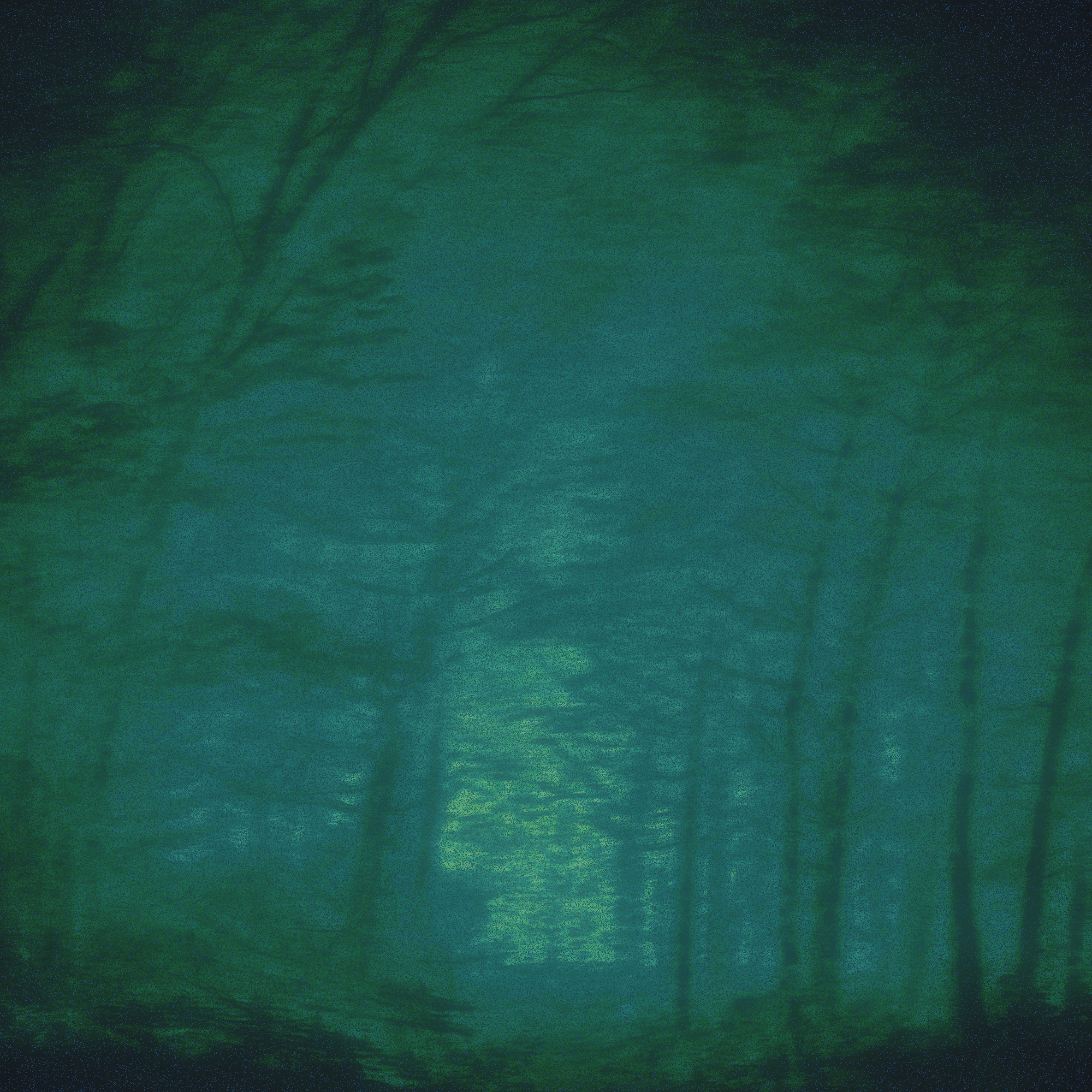 "Nor'wester" cover