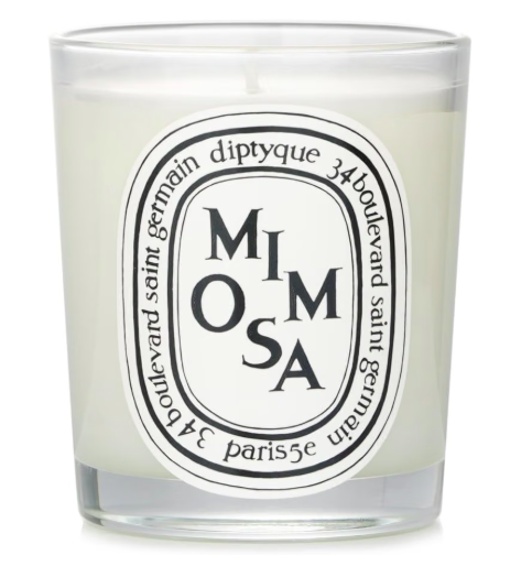Diptyque BAIES Scented Oval.png