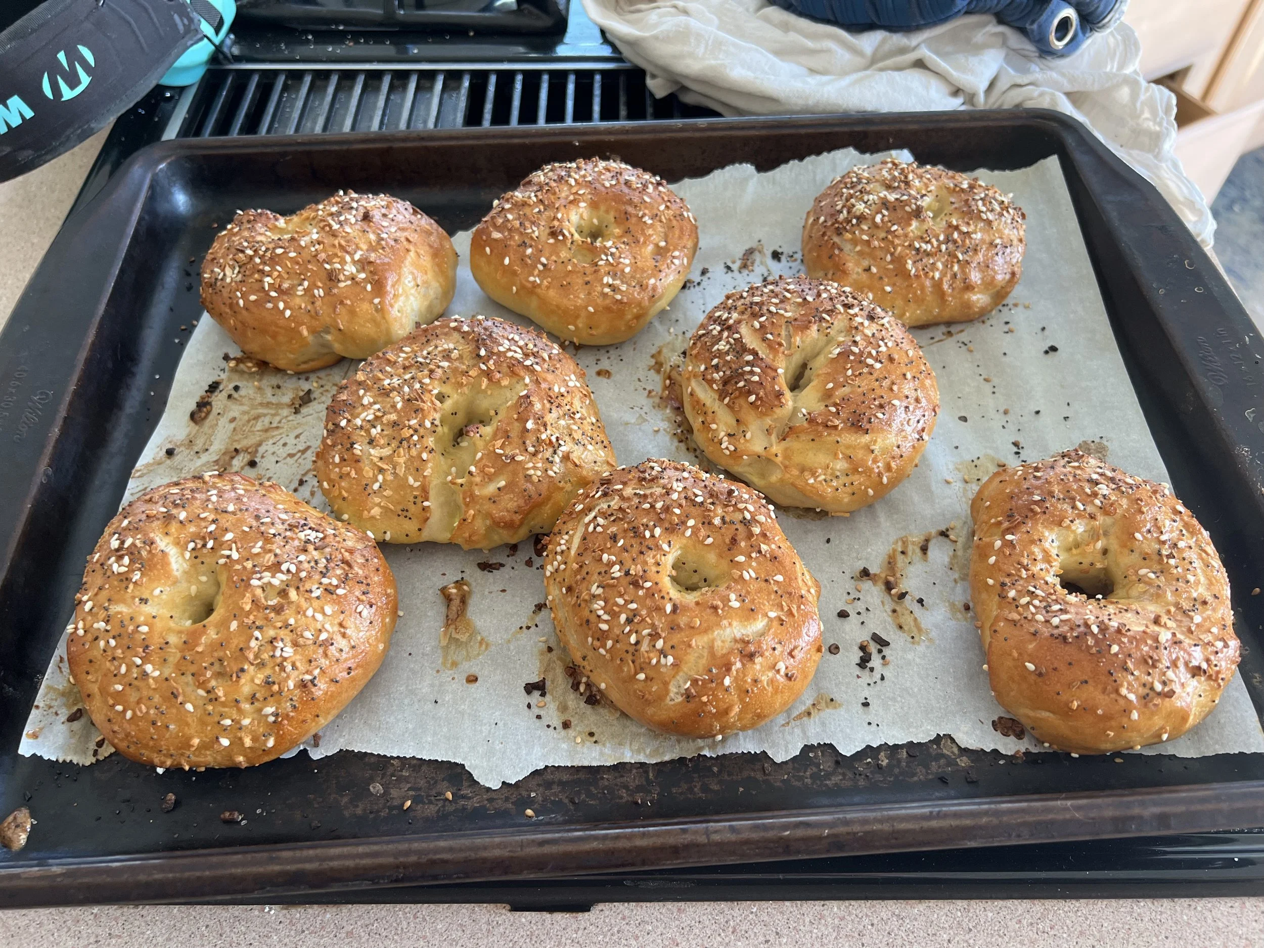 Sourdough Everything Bagels - Eight