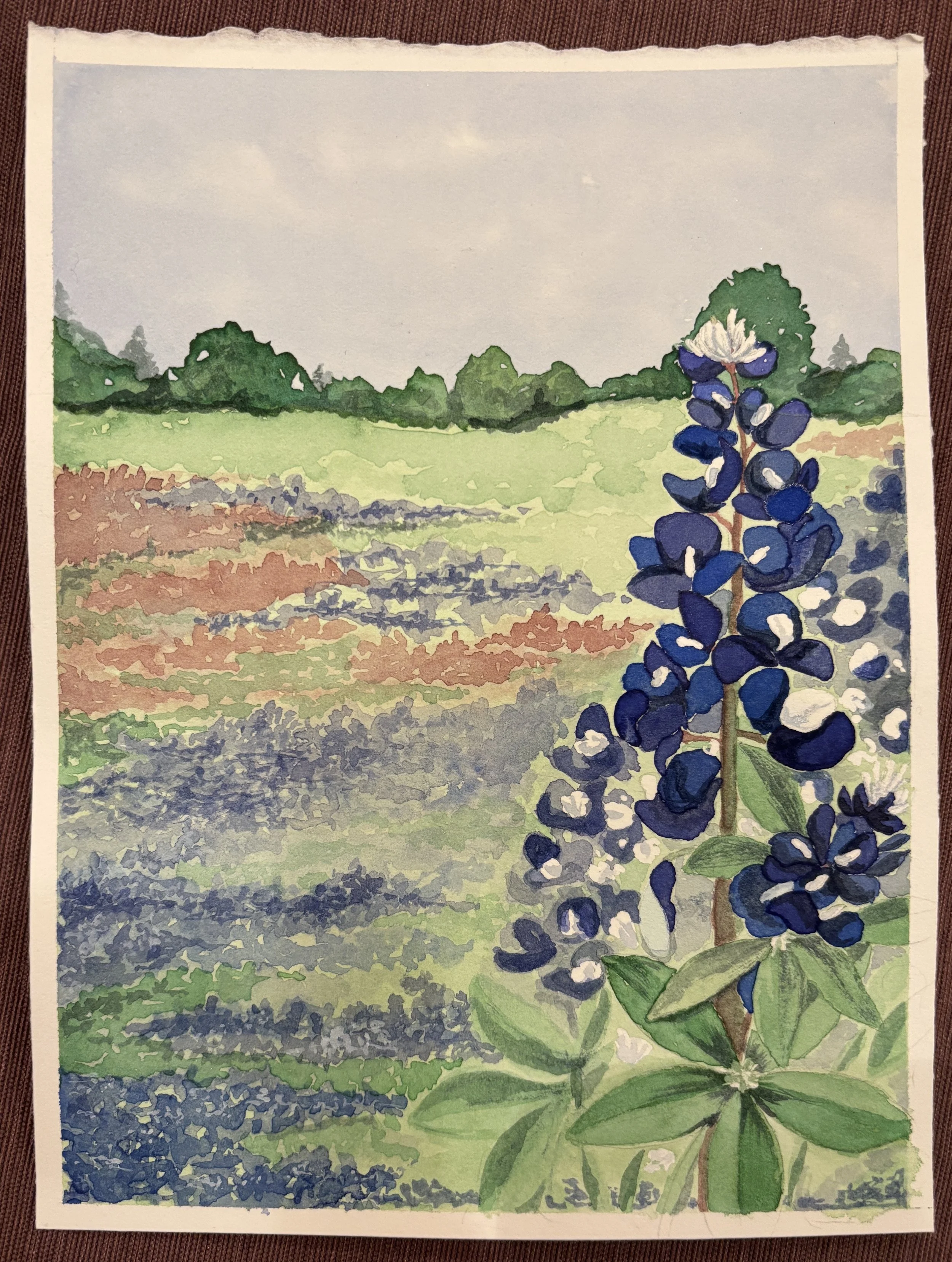 "Bluebonnets"
Watercolor on hot press cotton paper
7x5
COMMISSION