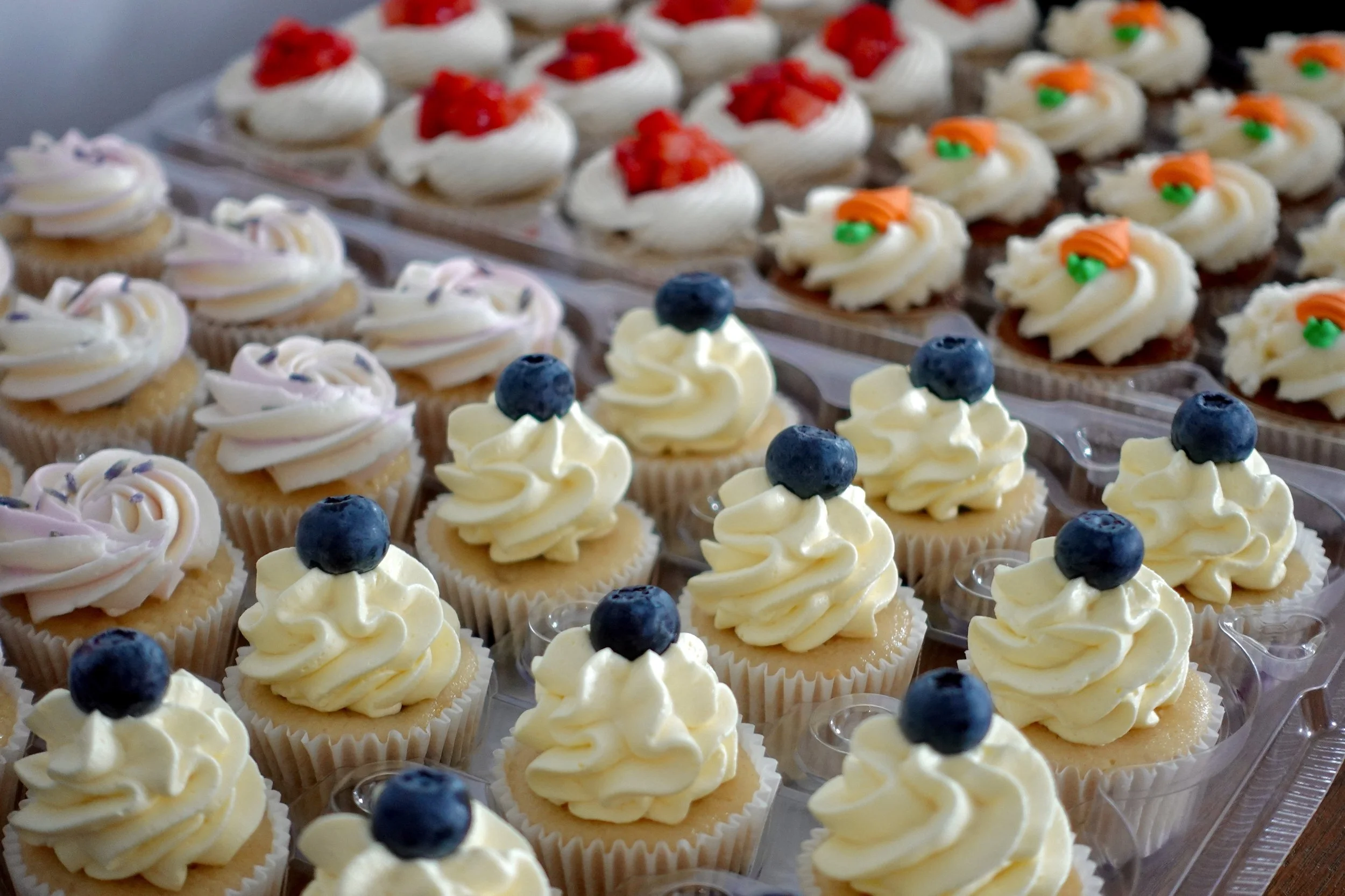 Display of assorted cupcakes with various toppings such as blueberries, red fruit, green and orange decorative sprinkles, and pastel-colored icing.