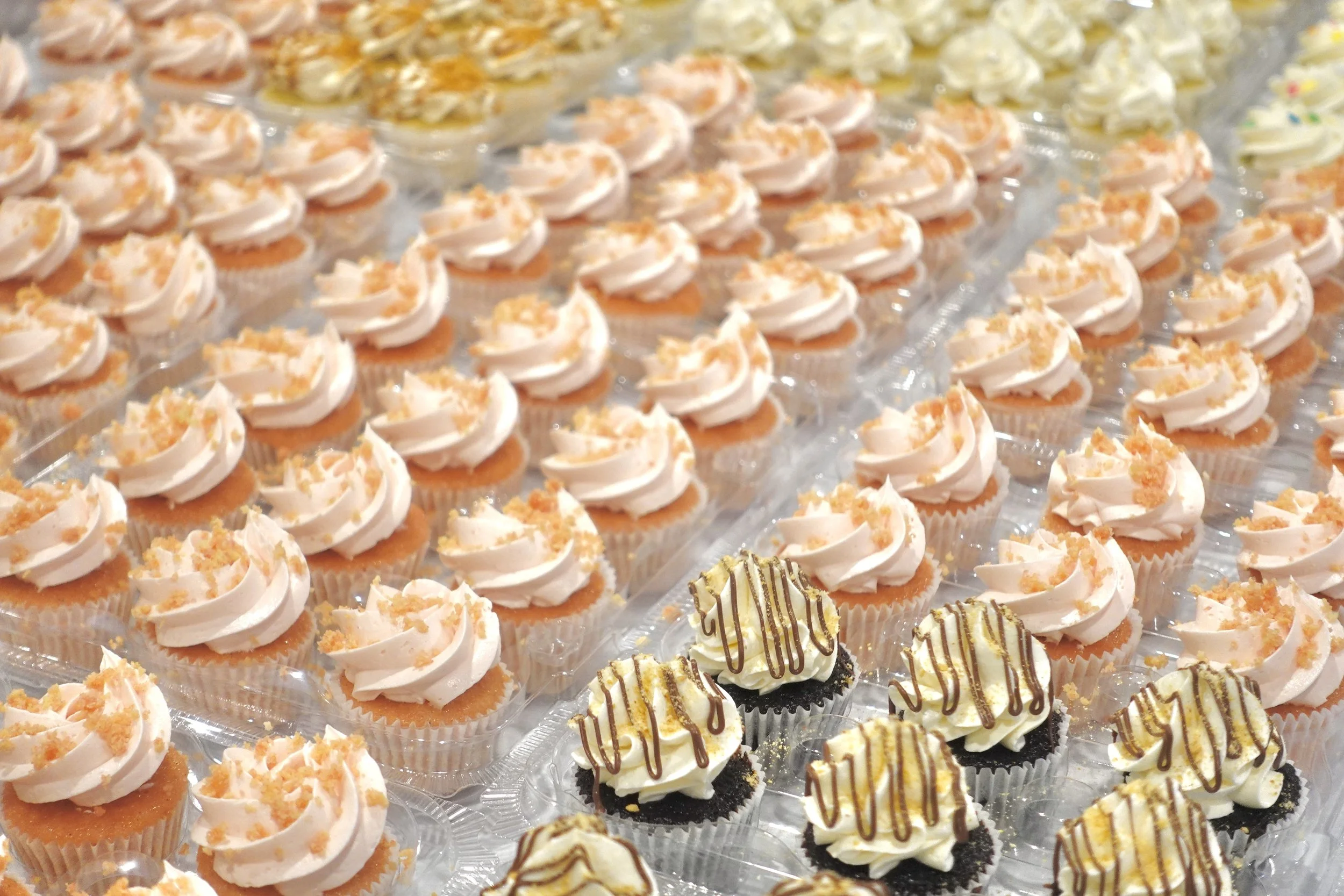 Several trays of decorated cupcakes with frosting, sprinkles, and toppings at a bakery or event.