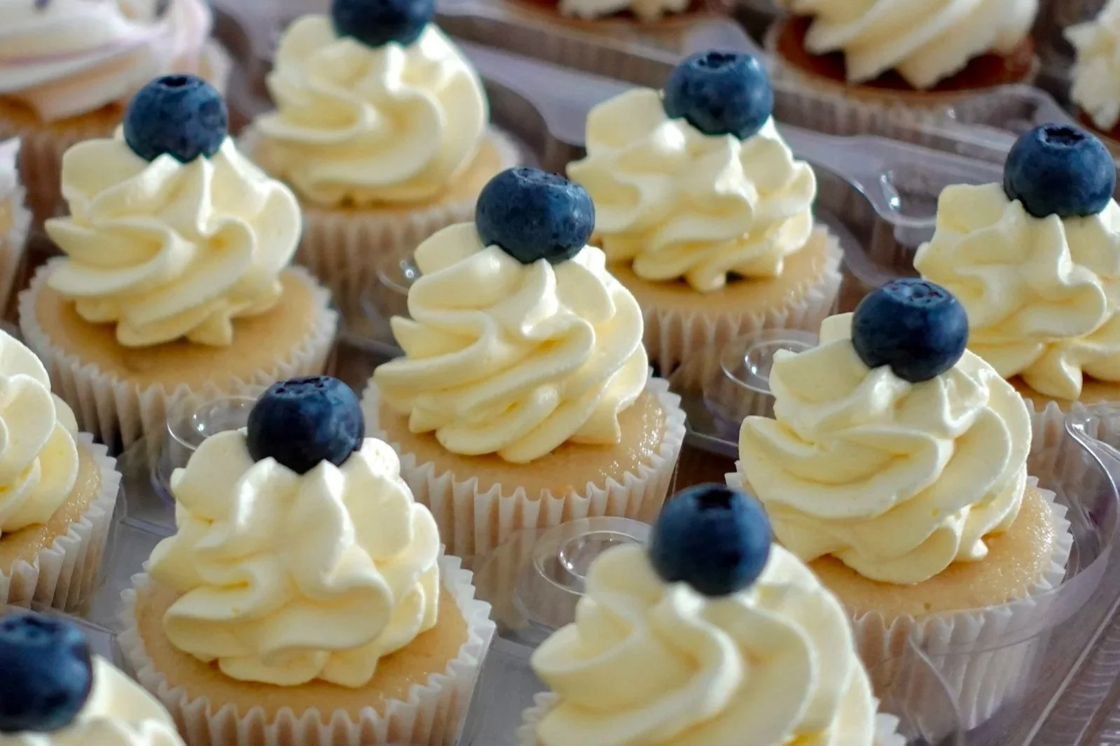 Lemon Blueberry