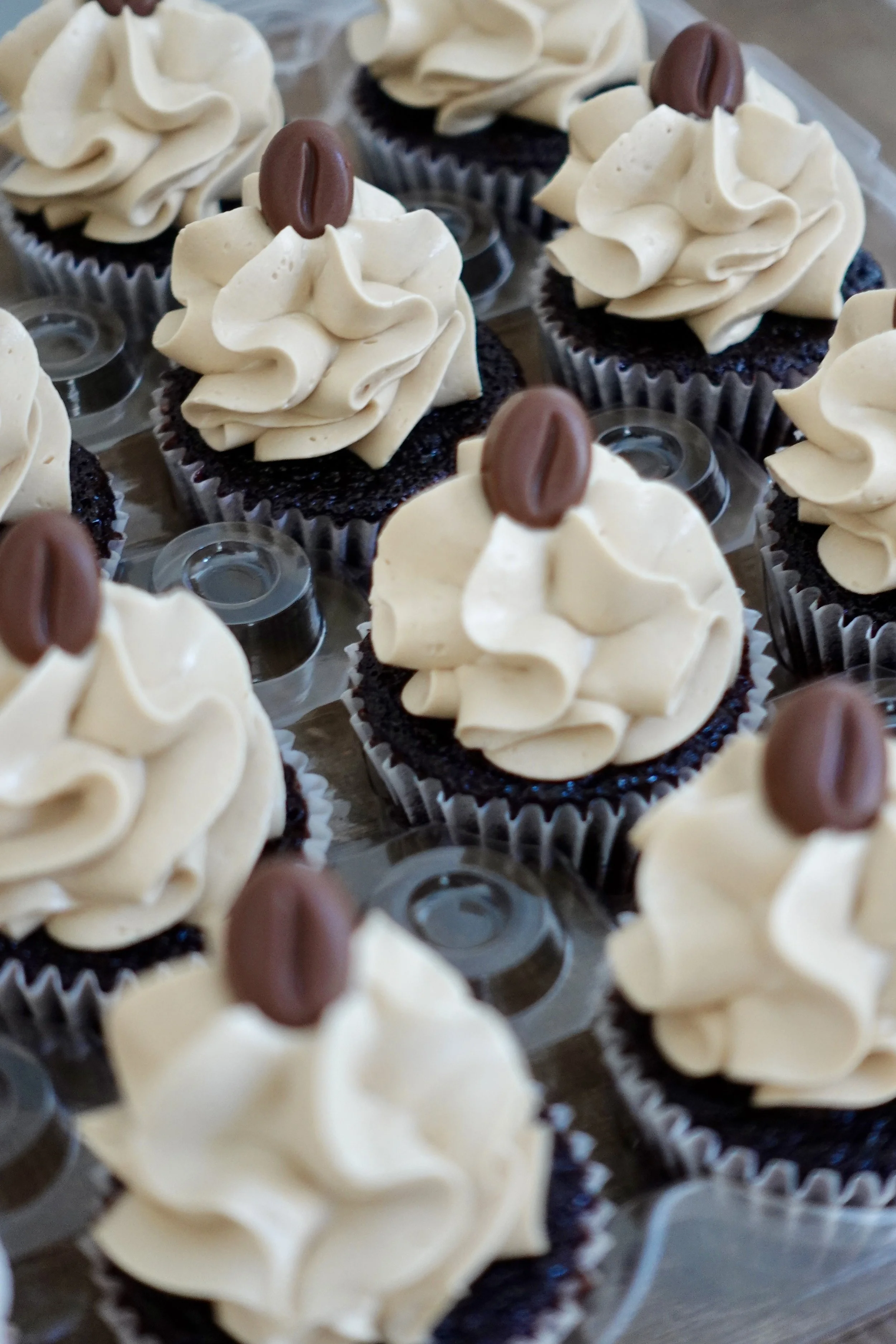 Close-up of multiple chocolate cupcakes with white frosting and a single coffee bean decoration on top, arranged in a display.