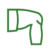Outline of a green animation of a human knee