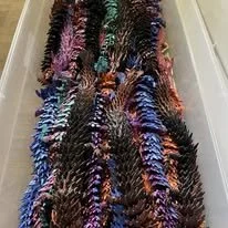 506721319_122188859348285745_5697693799527870094_n.jpg