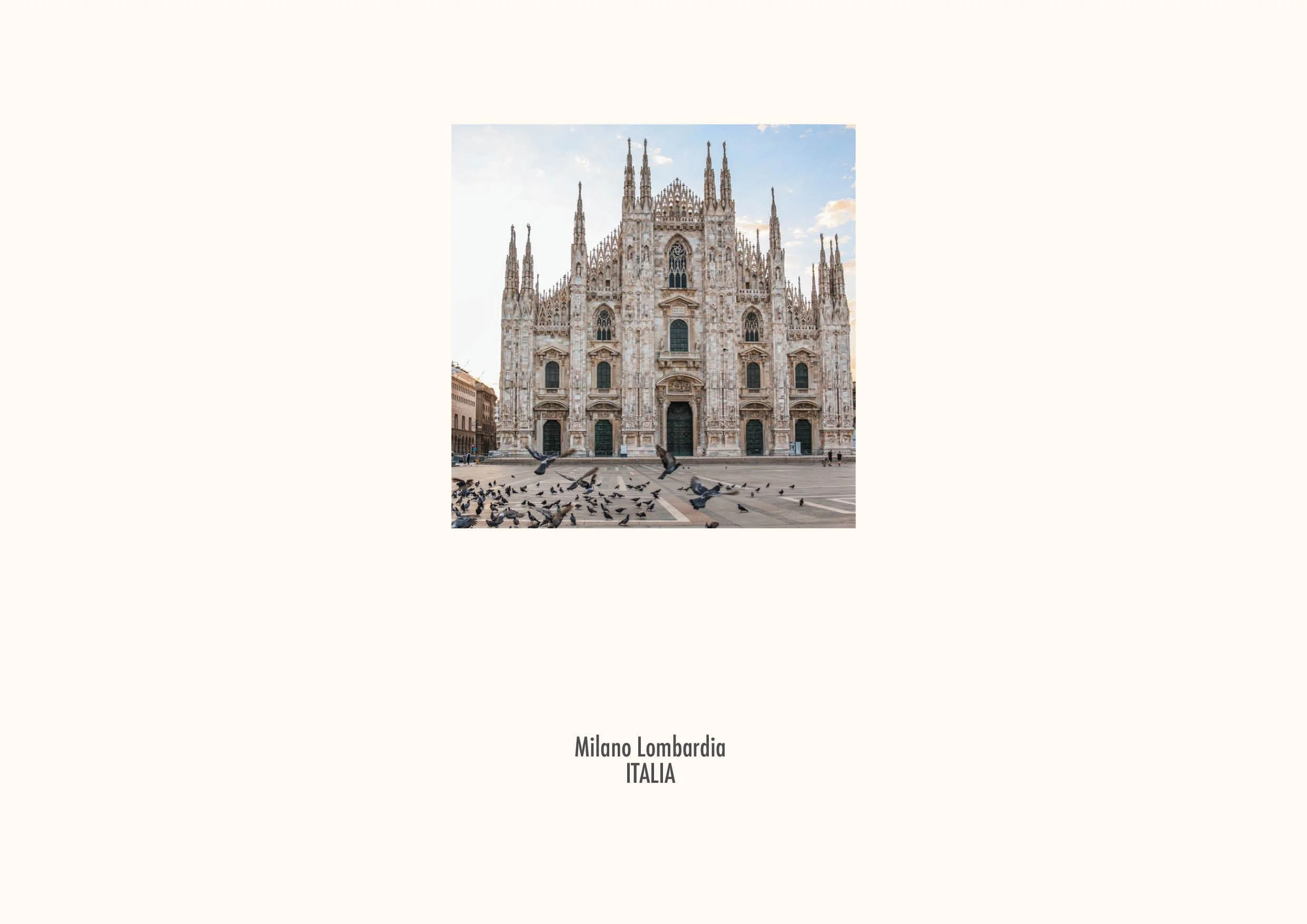 PORTFOLIO 202628.jpg