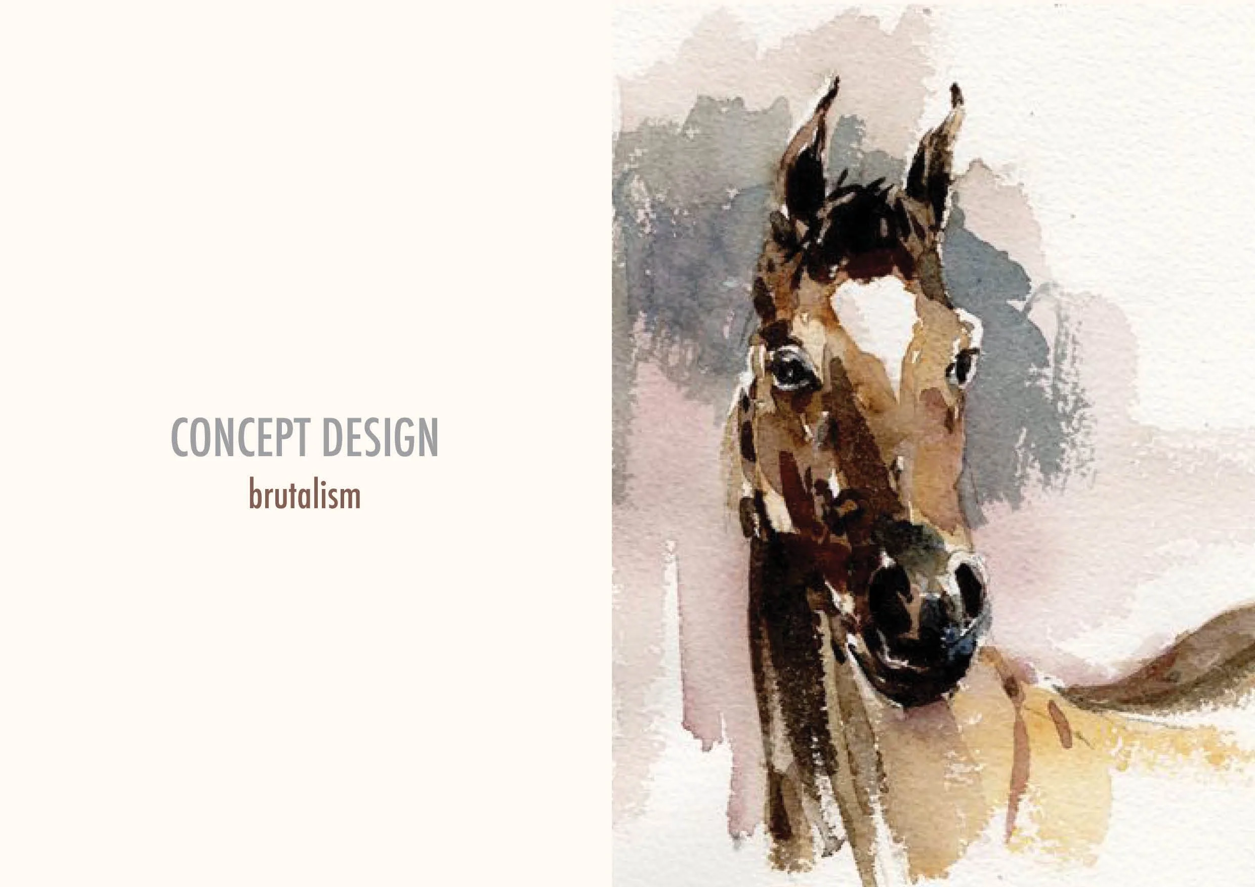 PORTFOLIO 202658.jpg