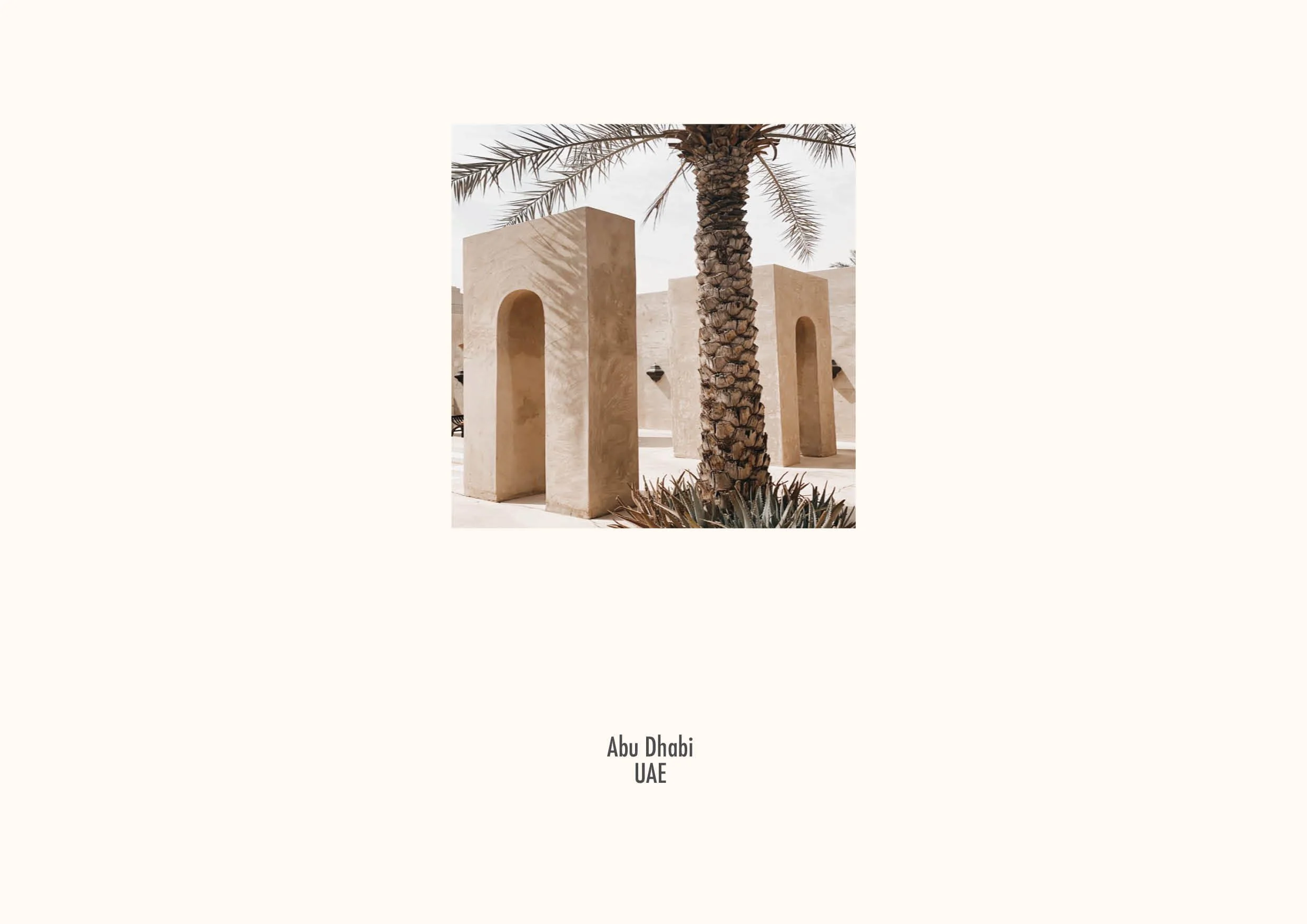 PORTFOLIO 202666.jpg