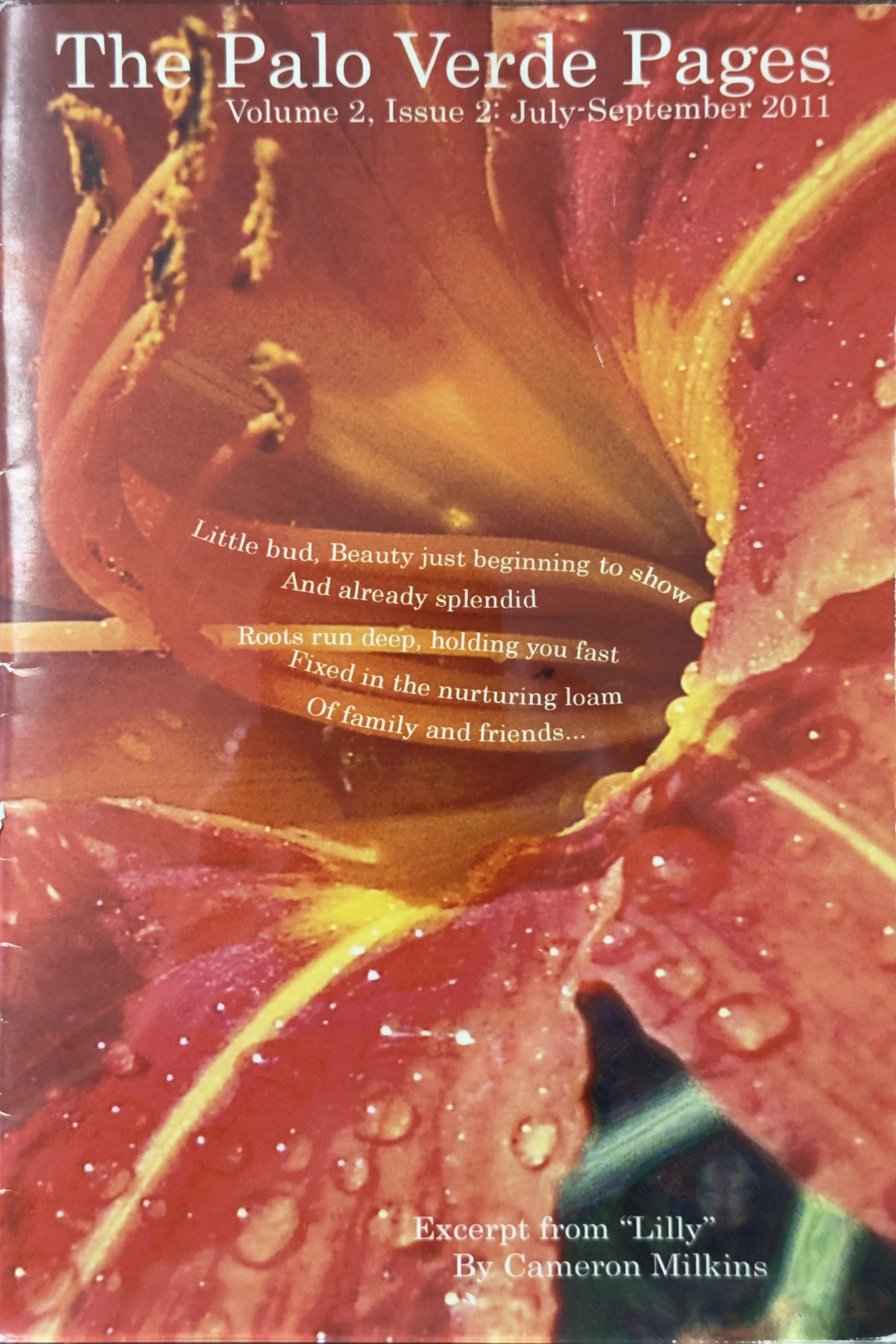 The Palo Verde Pages, 2.2,  July–September 2011. Includes the short story "Backroom Deal."