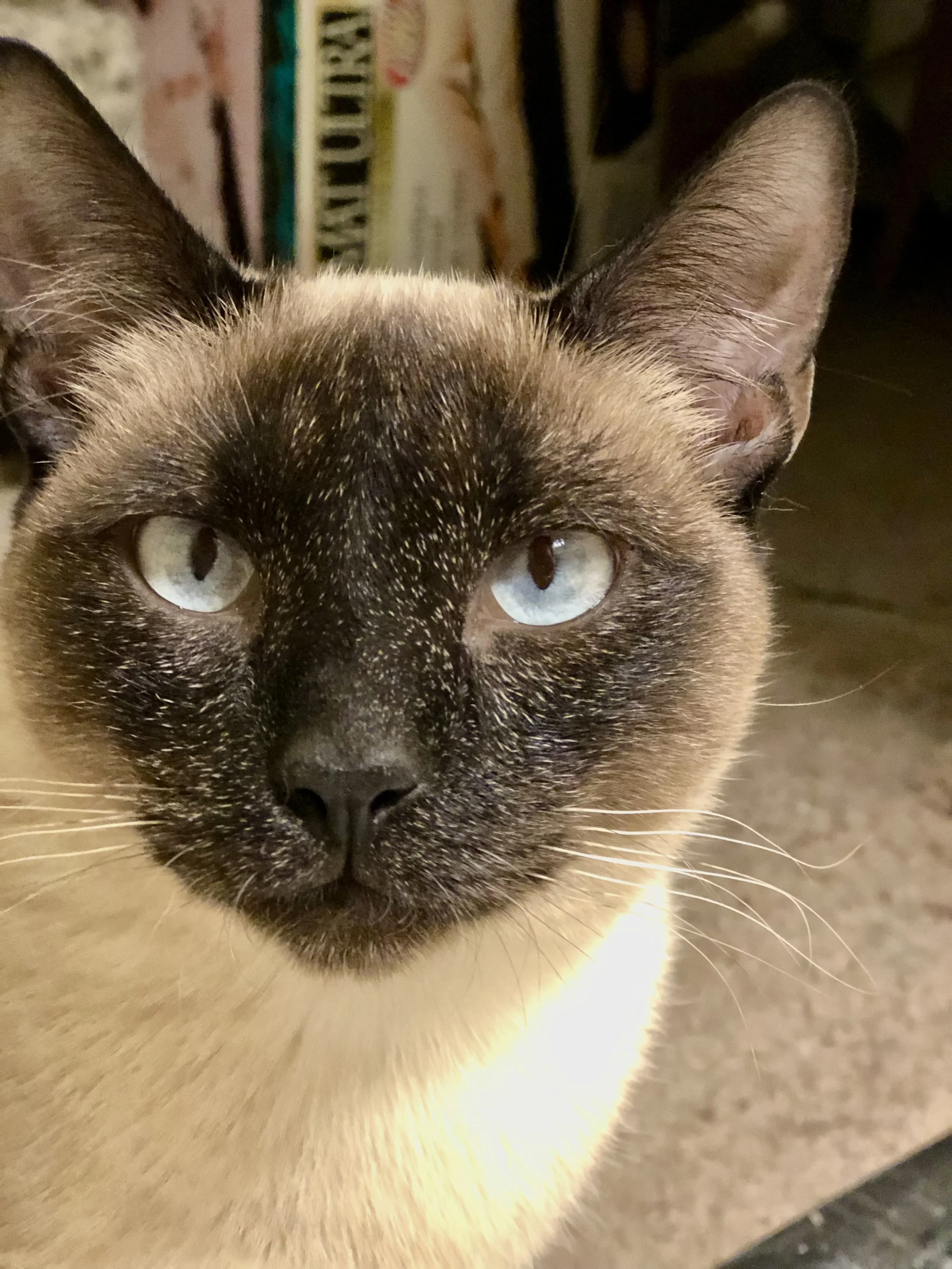 Peanut with reverse freckles