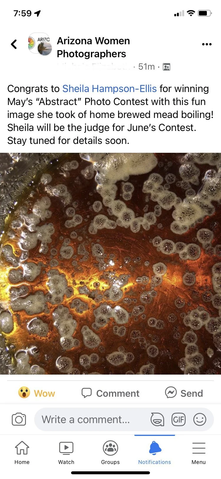 Arizona Women Photographers Abstract.png