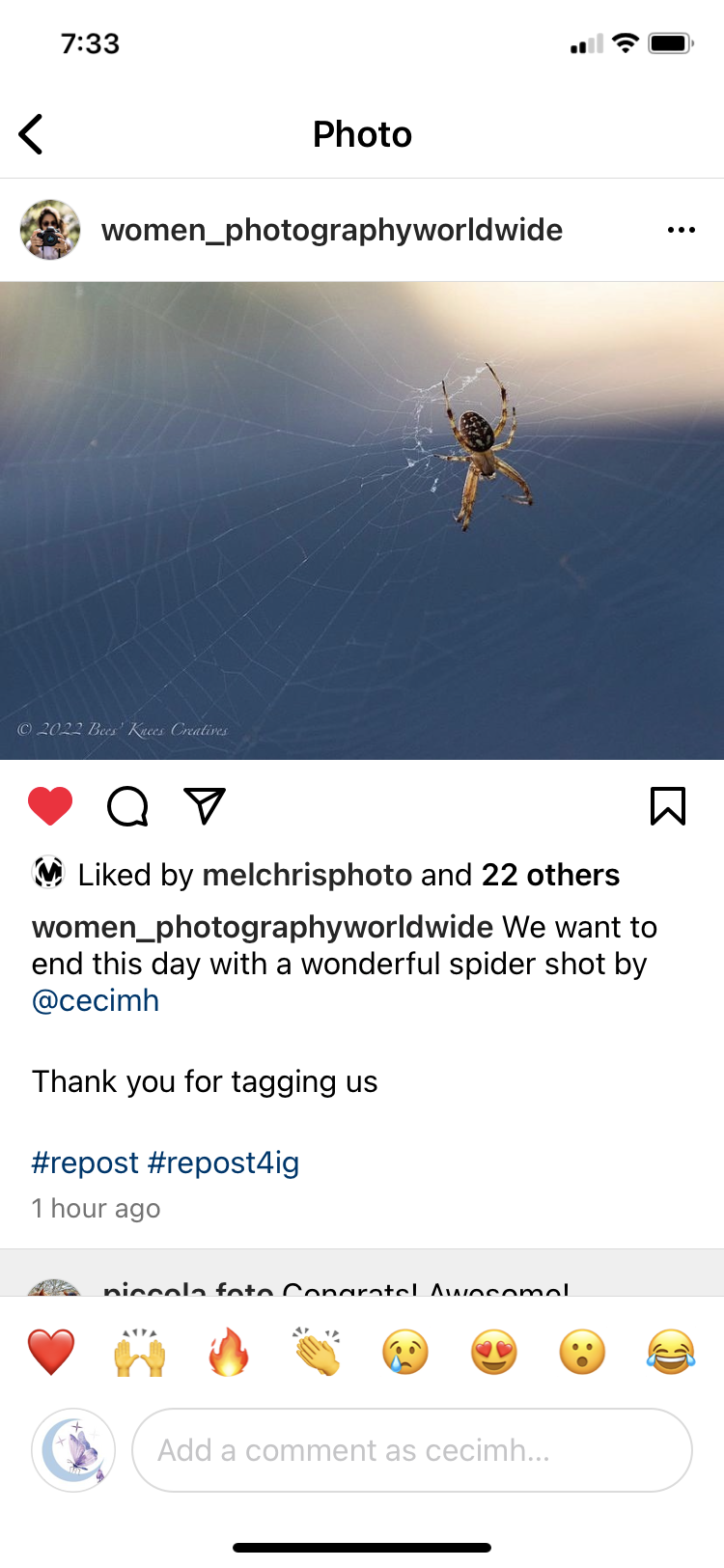 Women Photography World Wide Spider.PNG