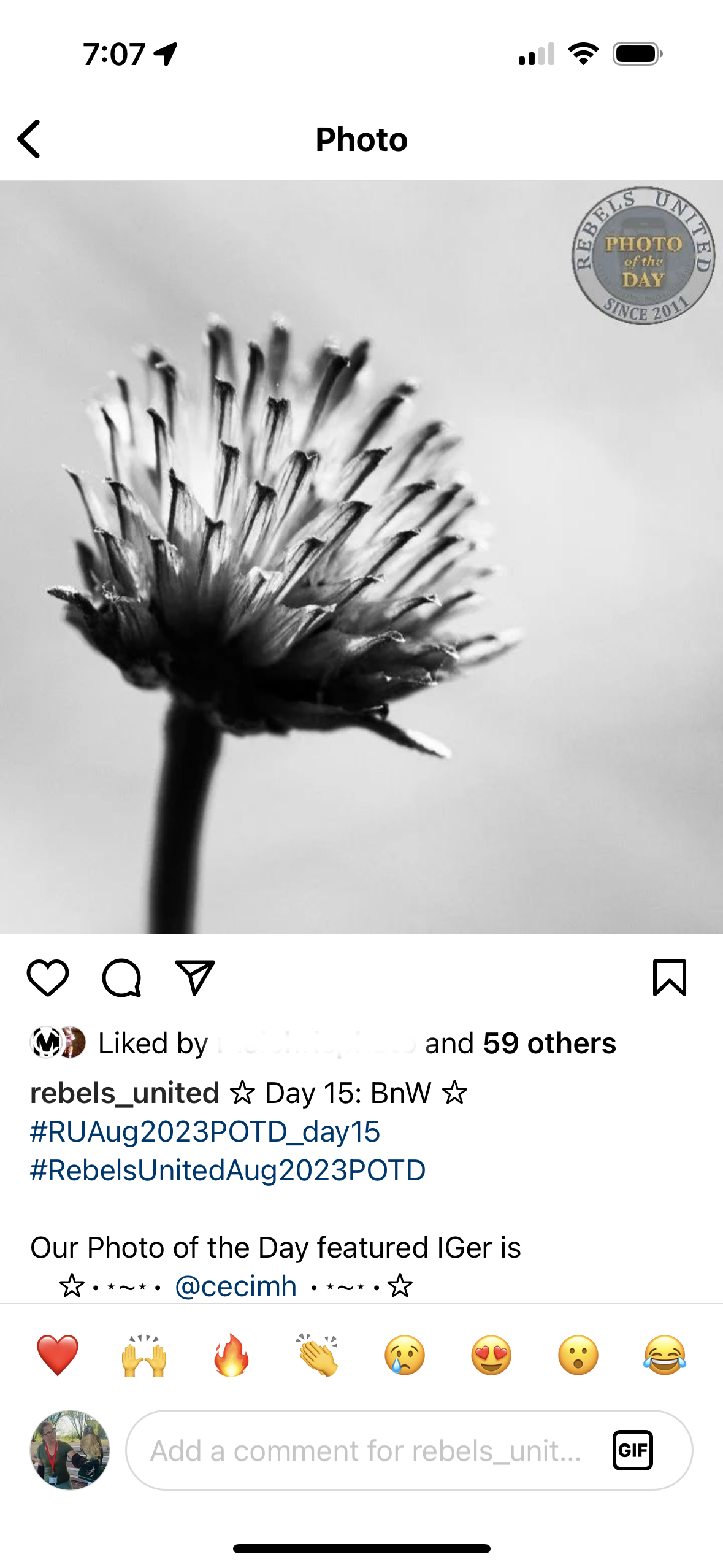 Rebels United Flower.PNG