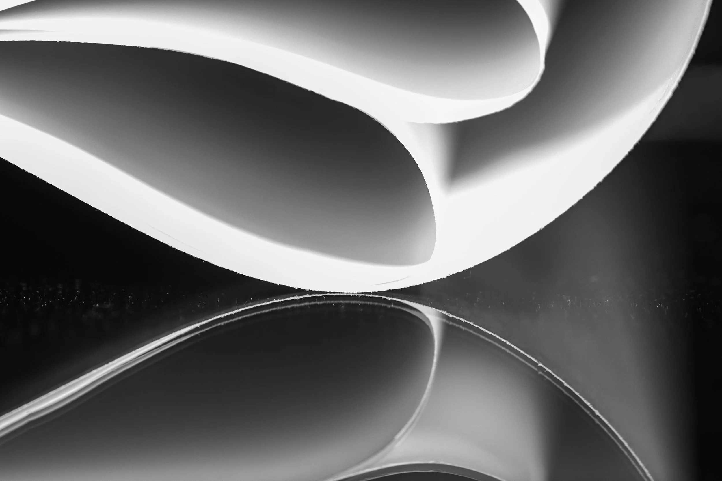 Black and White Abstract