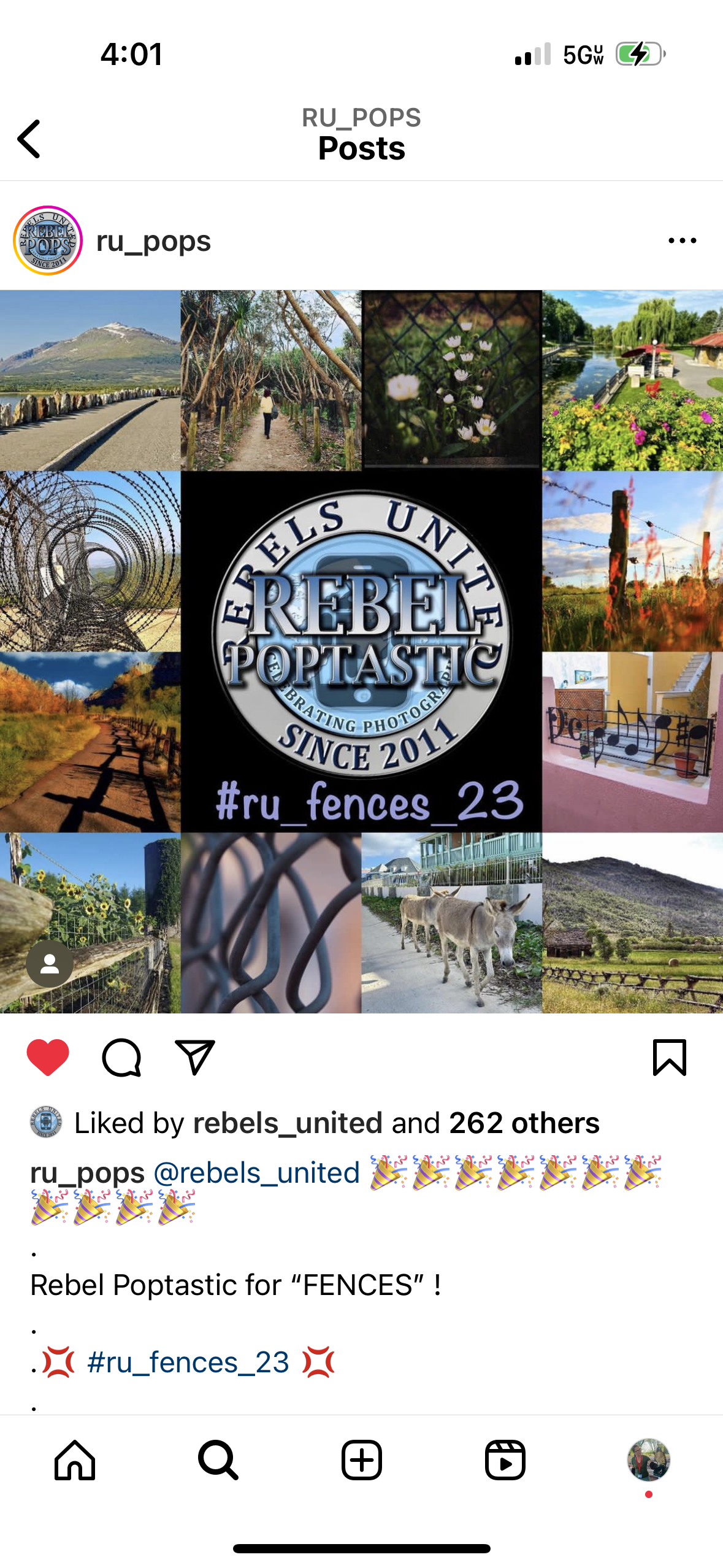 RU Grid Feature fence.PNG