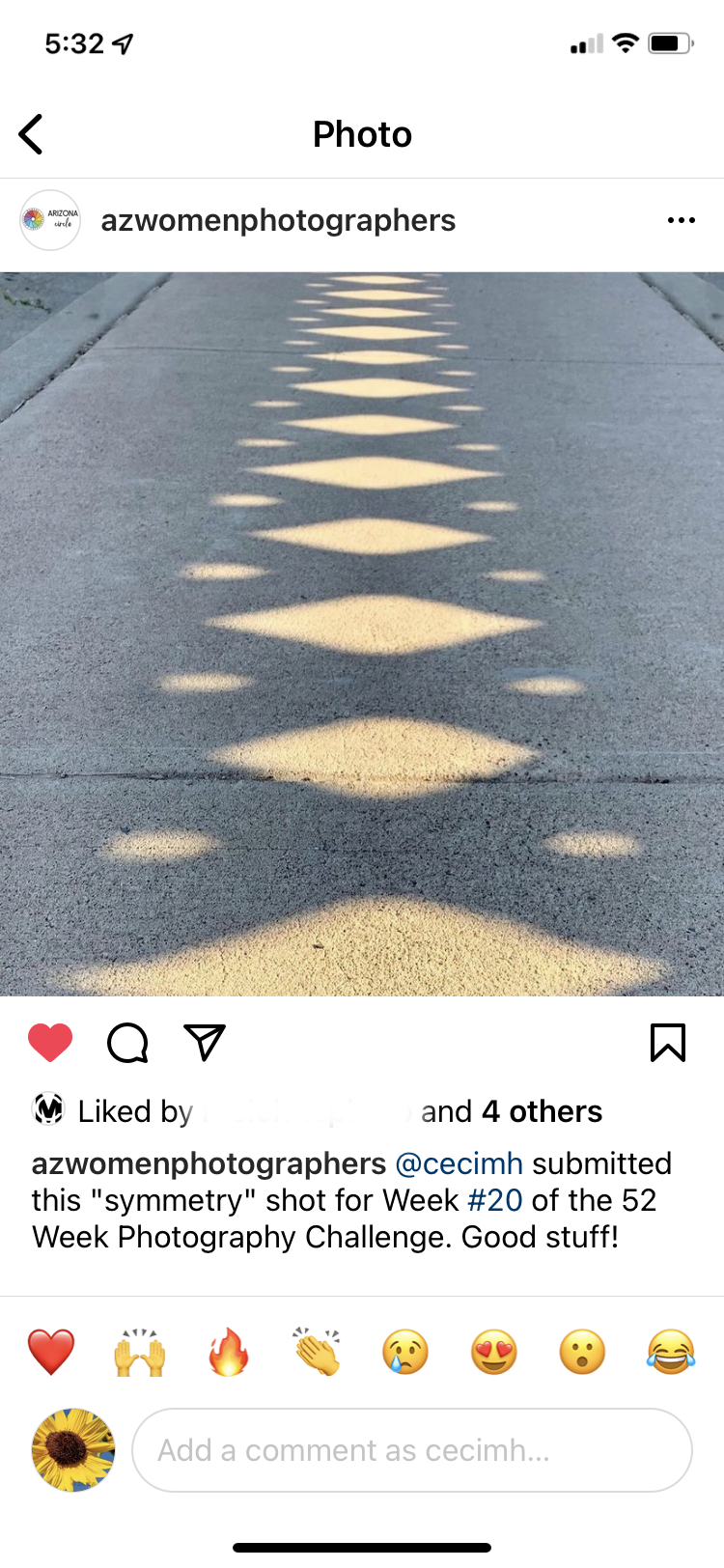 AZ Women Photog Diamond shaddow.PNG