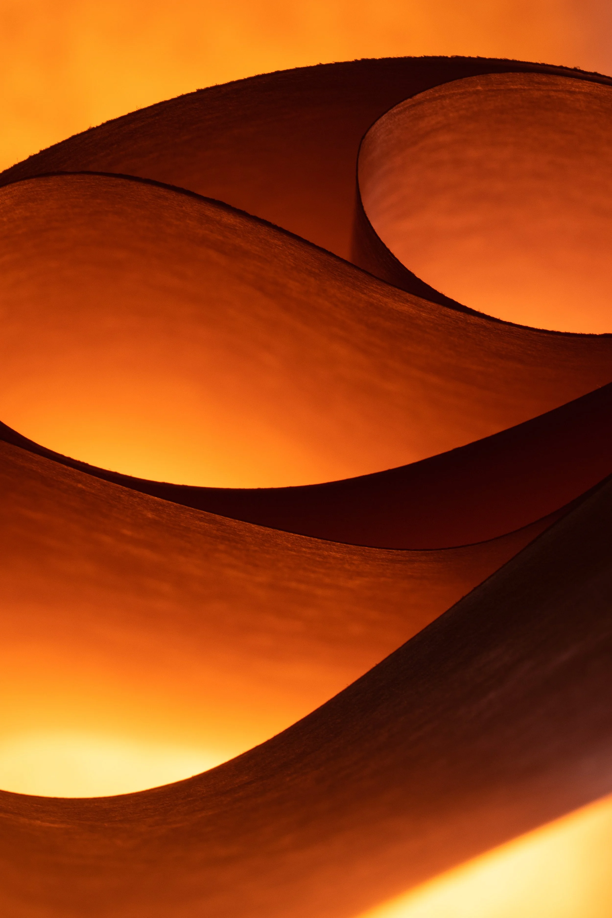 Orange Abstract