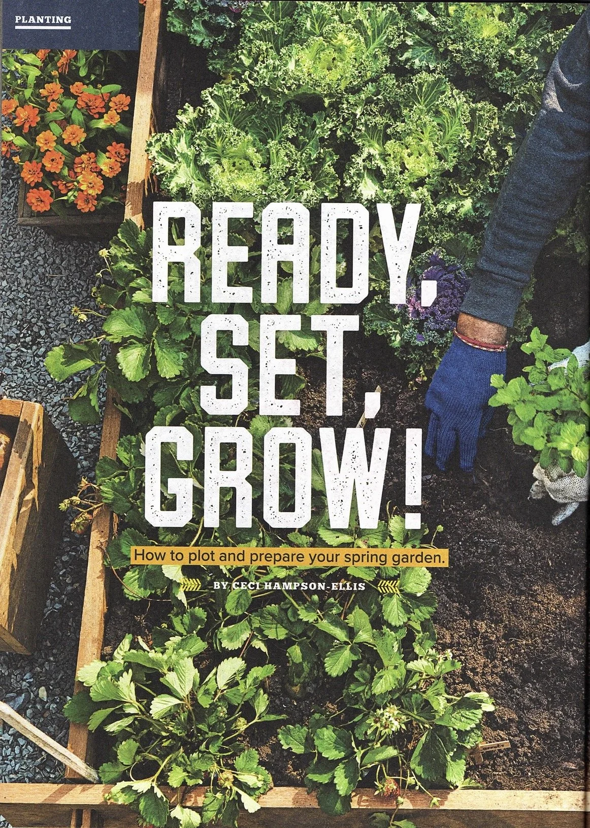 Article Published by Centennial Media
Prepper Survival Guide
Issue 6, January  2020