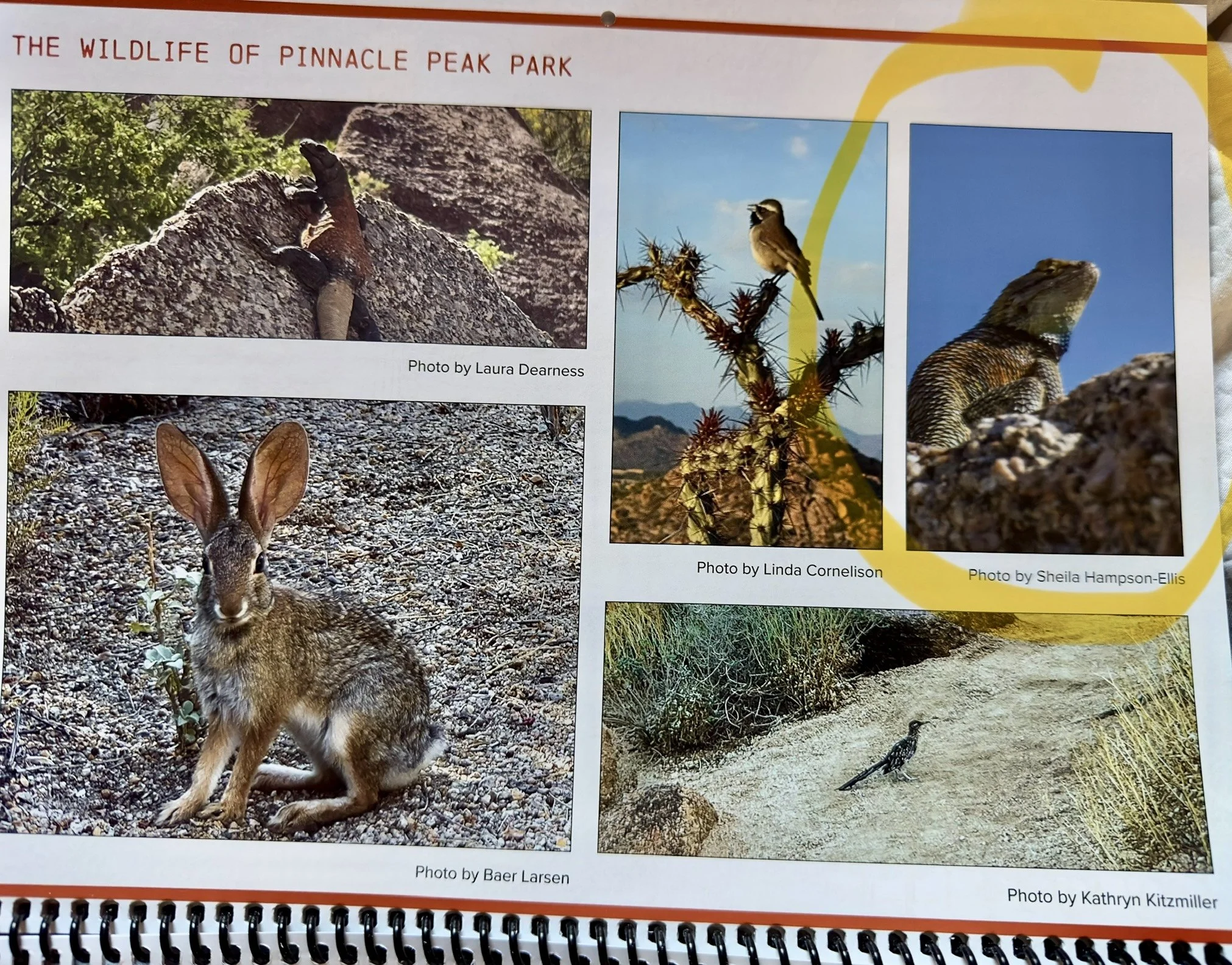 Pinnacle Peak calendar.jpeg