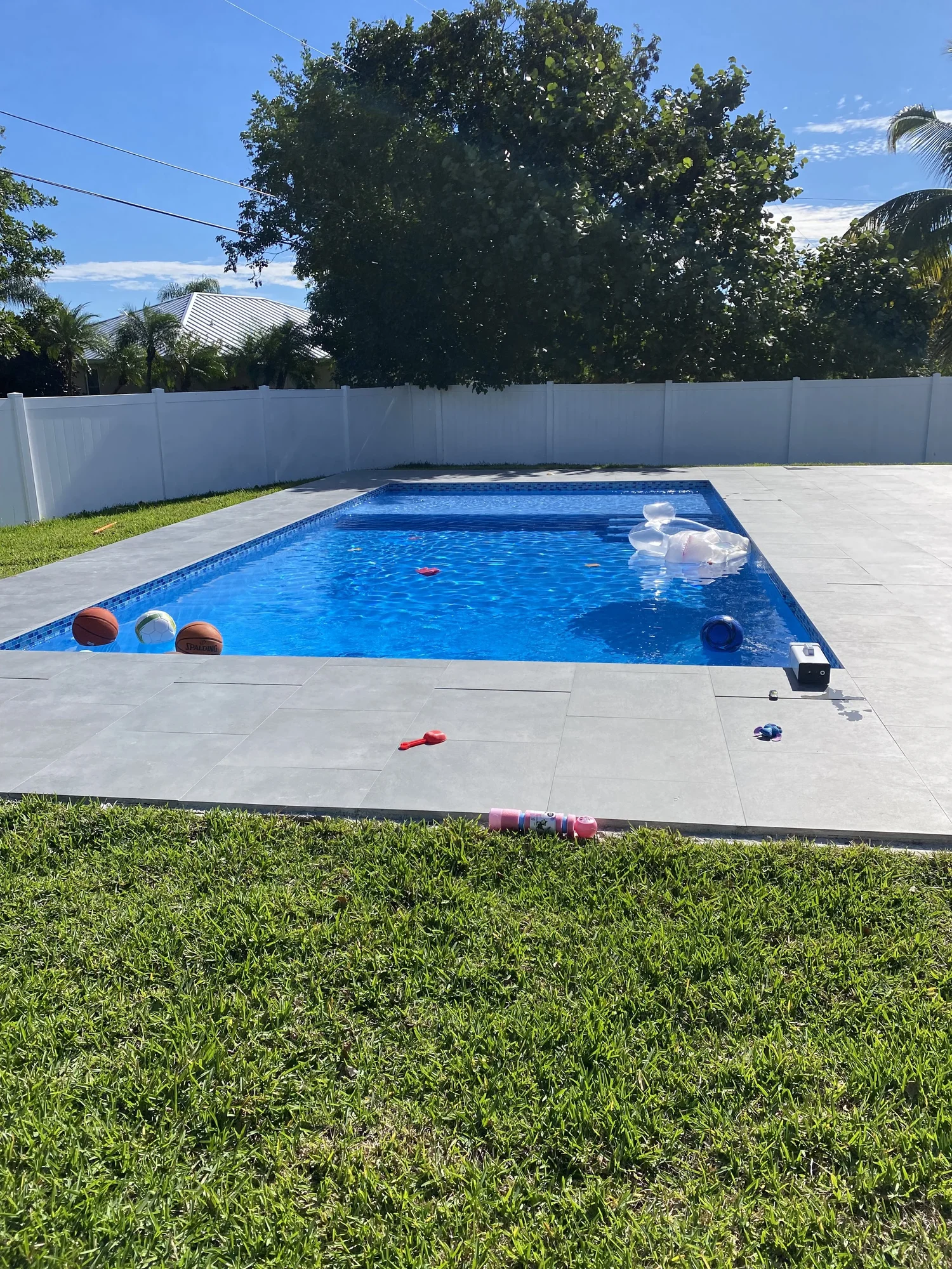 Family backyard pool