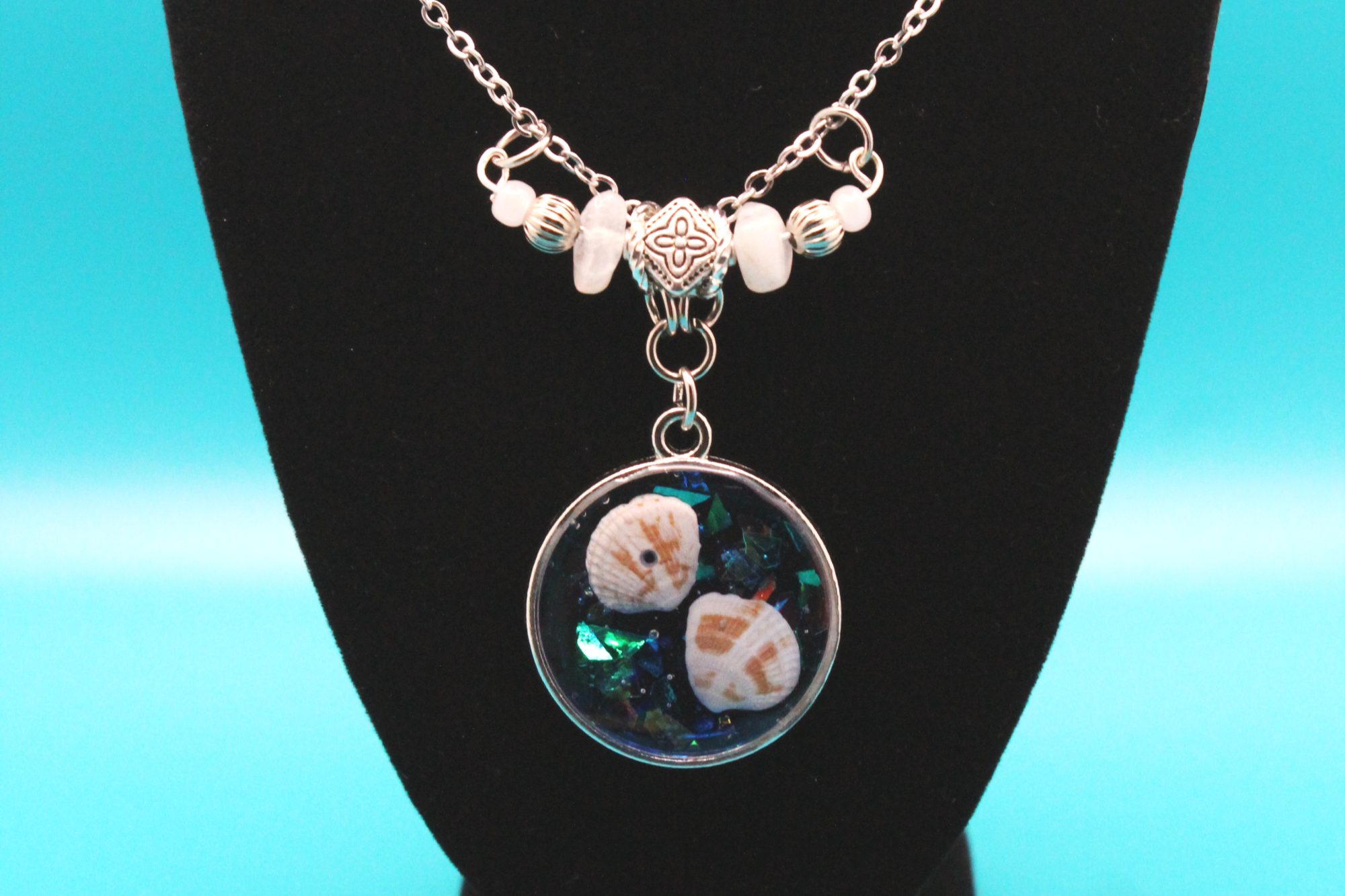 Twin Seashells