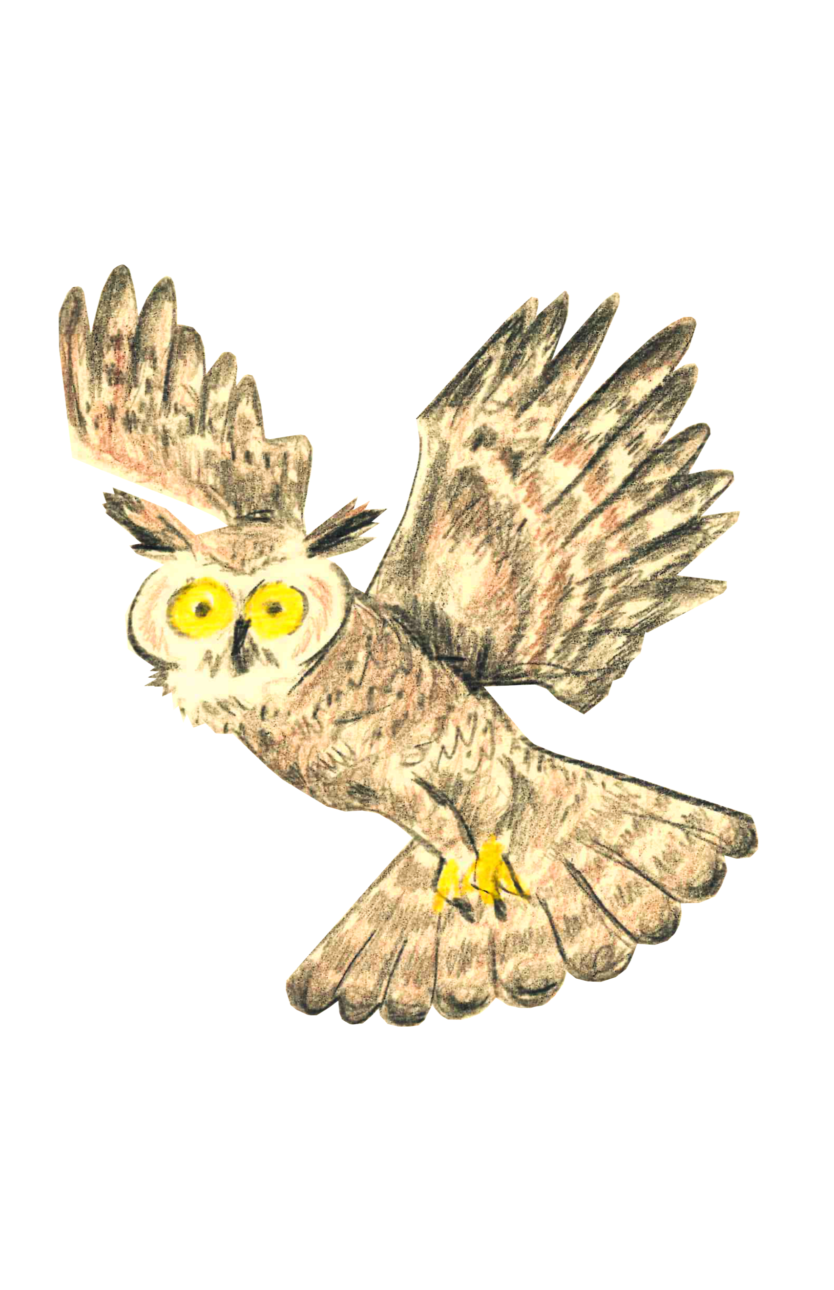 great+horned+owl.png