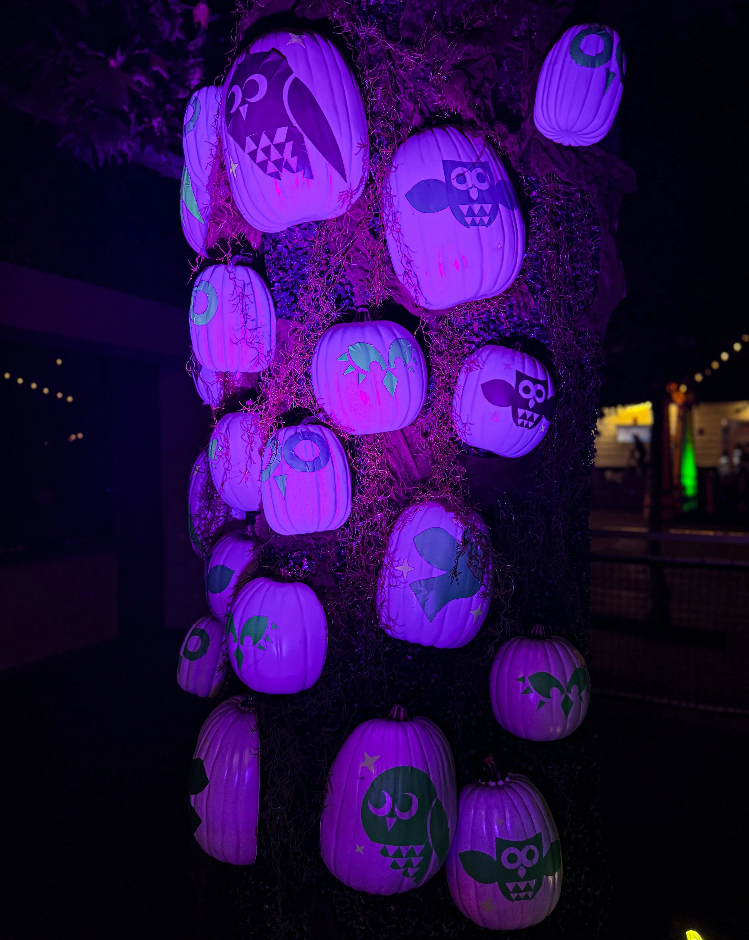 owloween.jpg