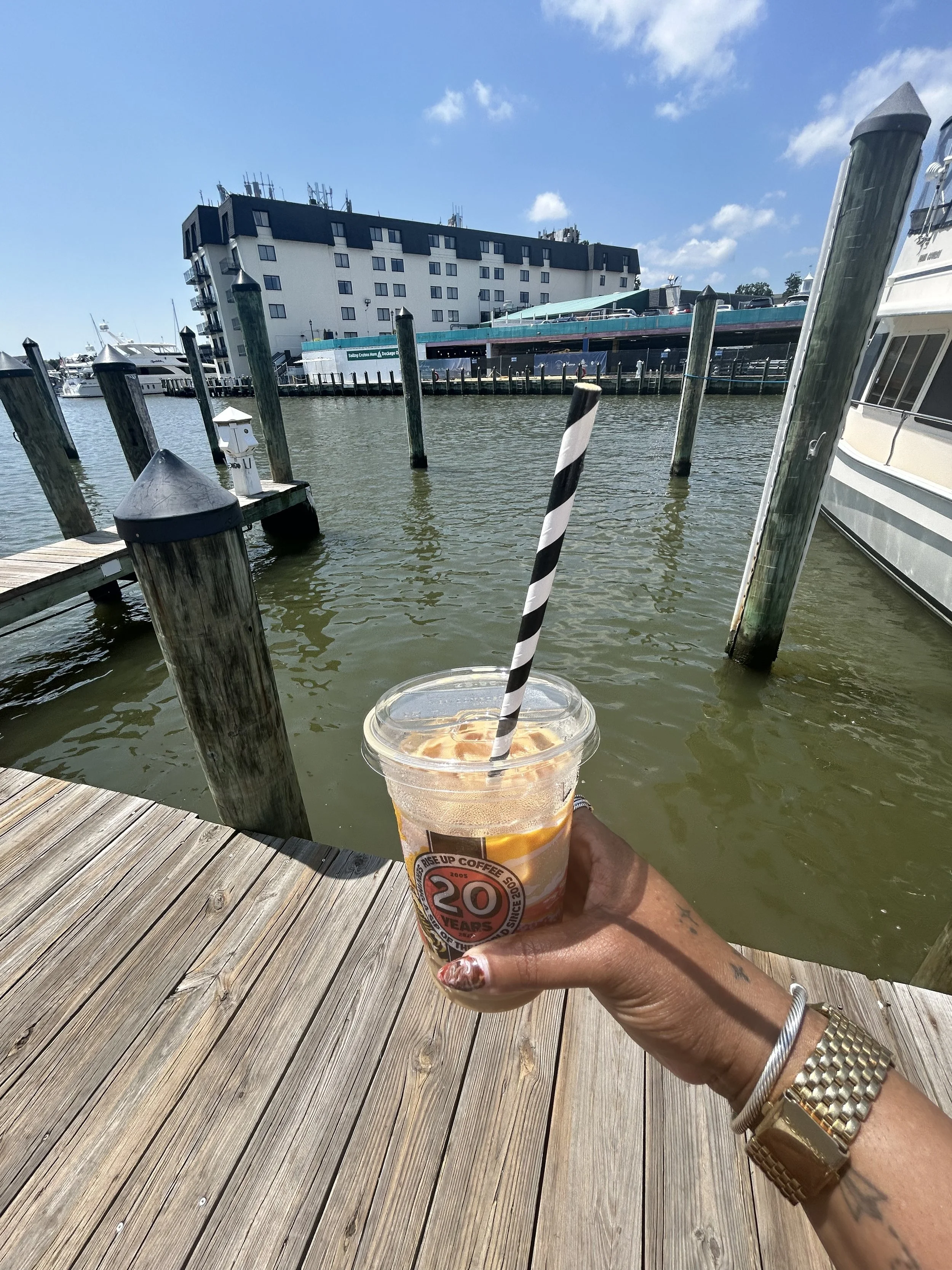 Annapolis by Land & Sea. Book Here