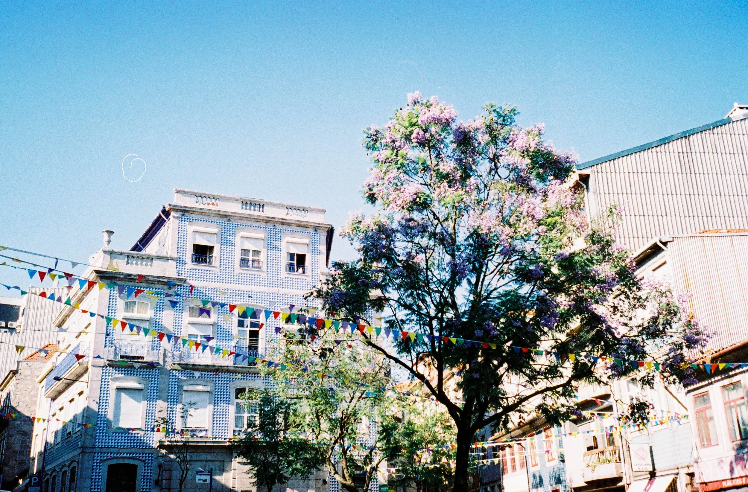 F1010033.jpg
