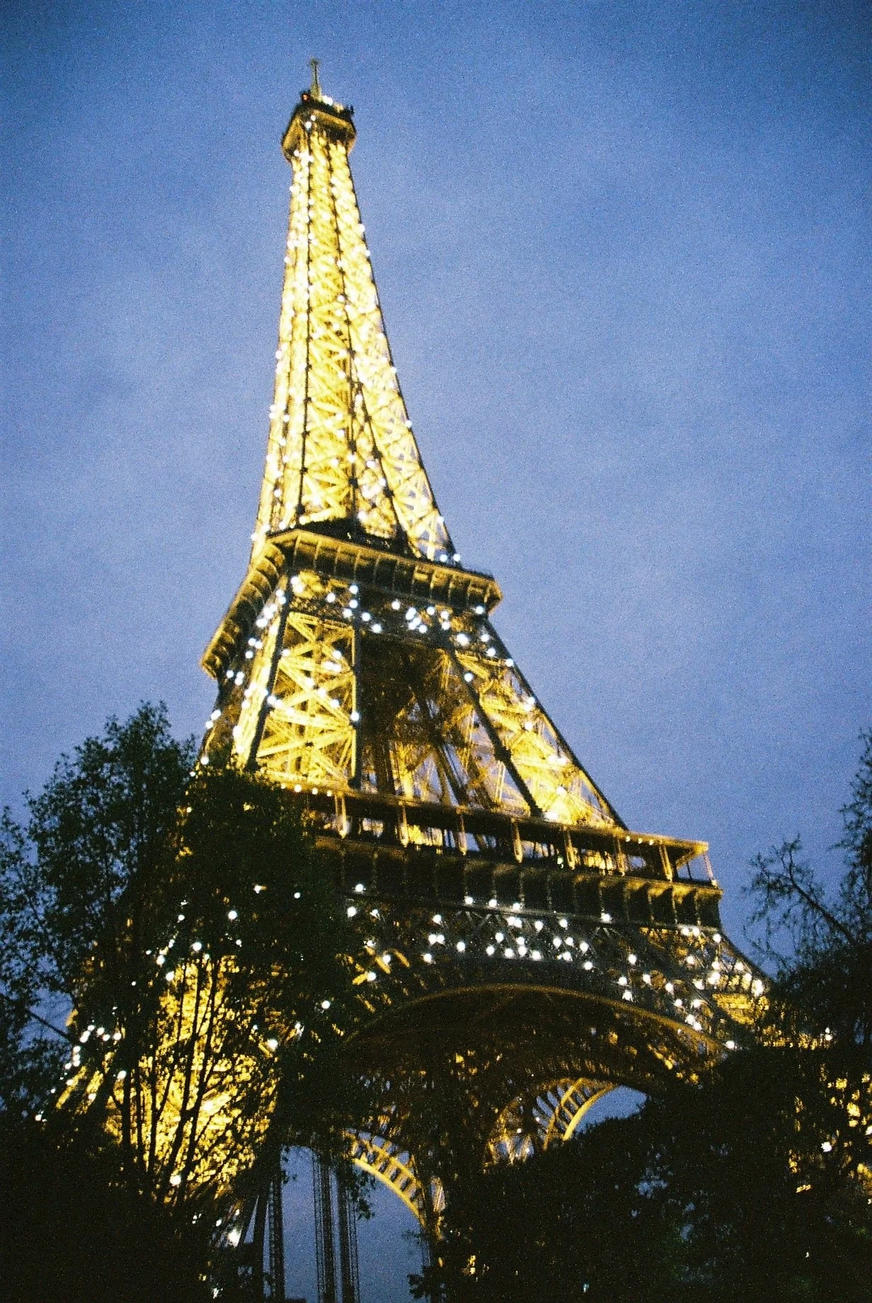 F1000015.JPG