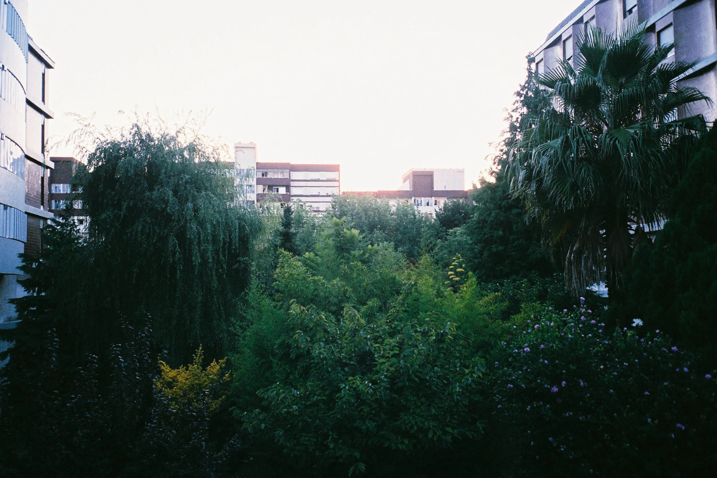 F1000026.jpg