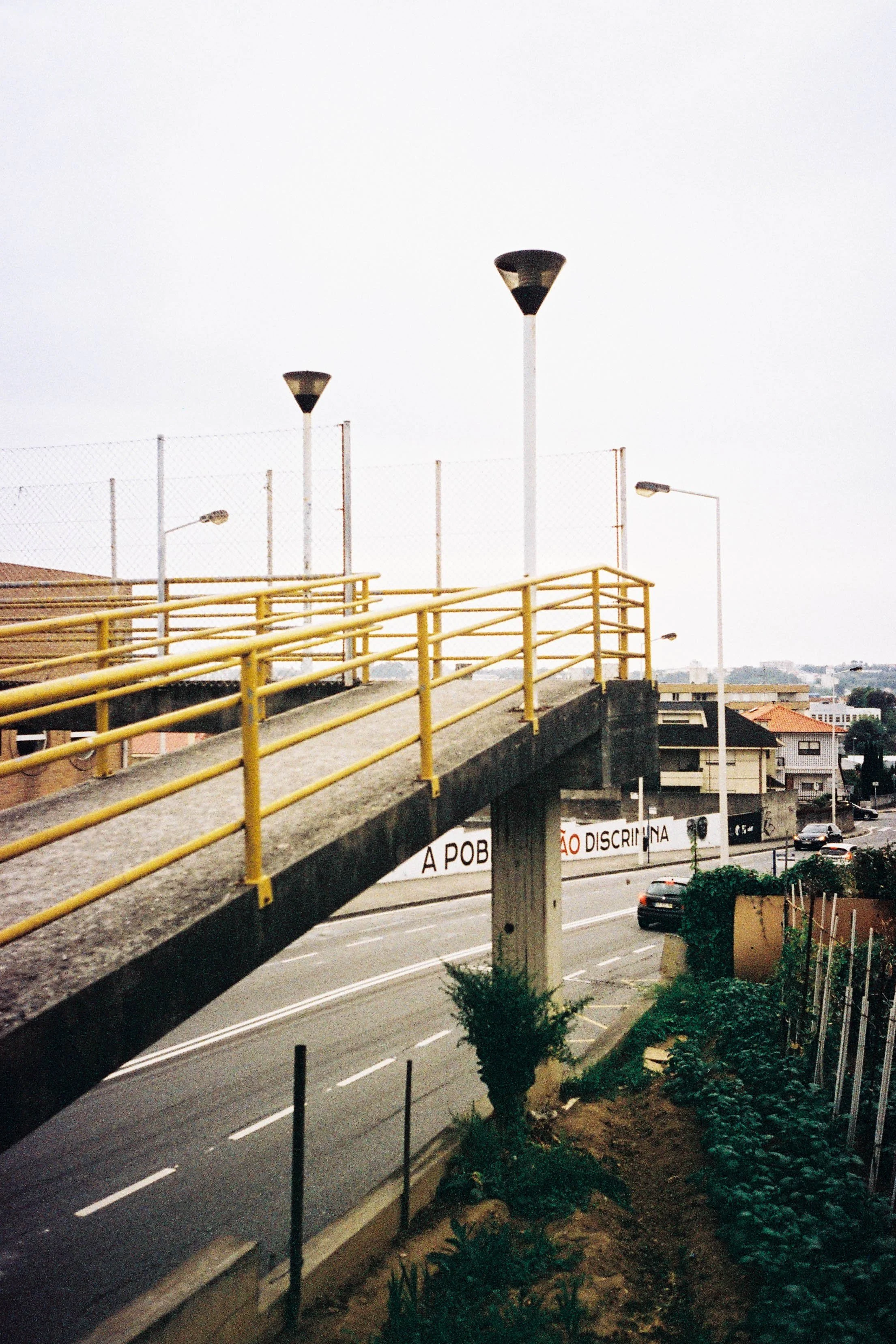 F1000031.jpg