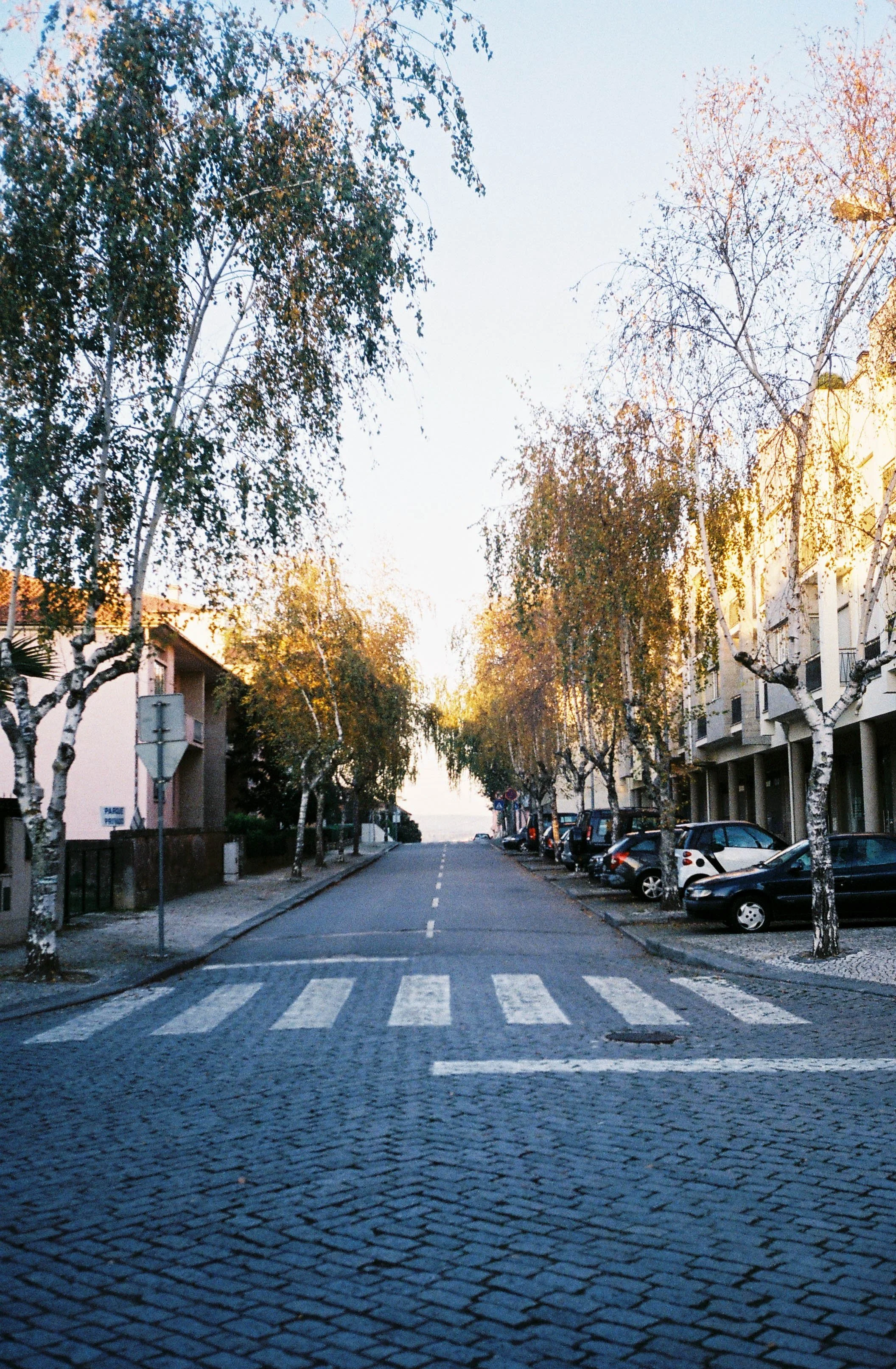 F1010012.jpg