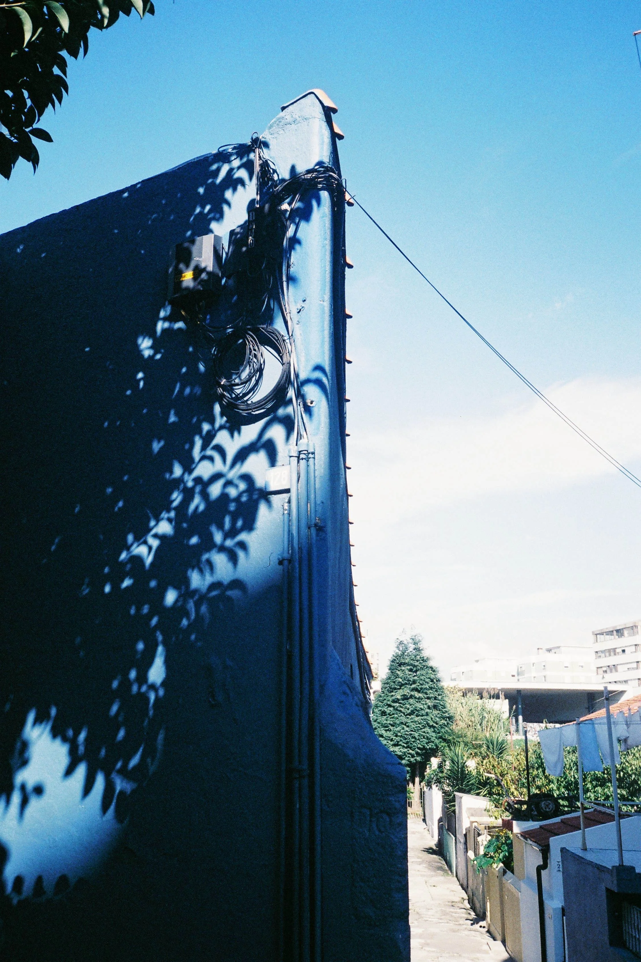 F1010011.jpg