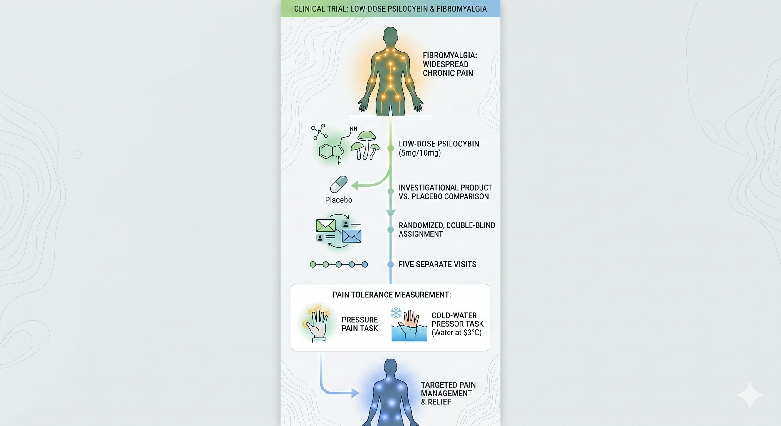 Infographic flowchart outlining a clinical trial studying the effects of low-dose psilocybin on fibromyalgia and chronic pain management.