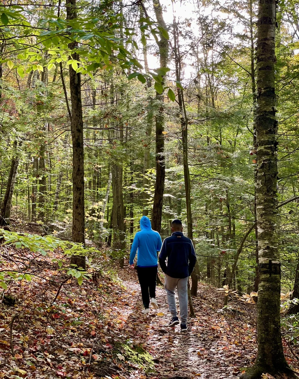 berkshire county outpatient forest
