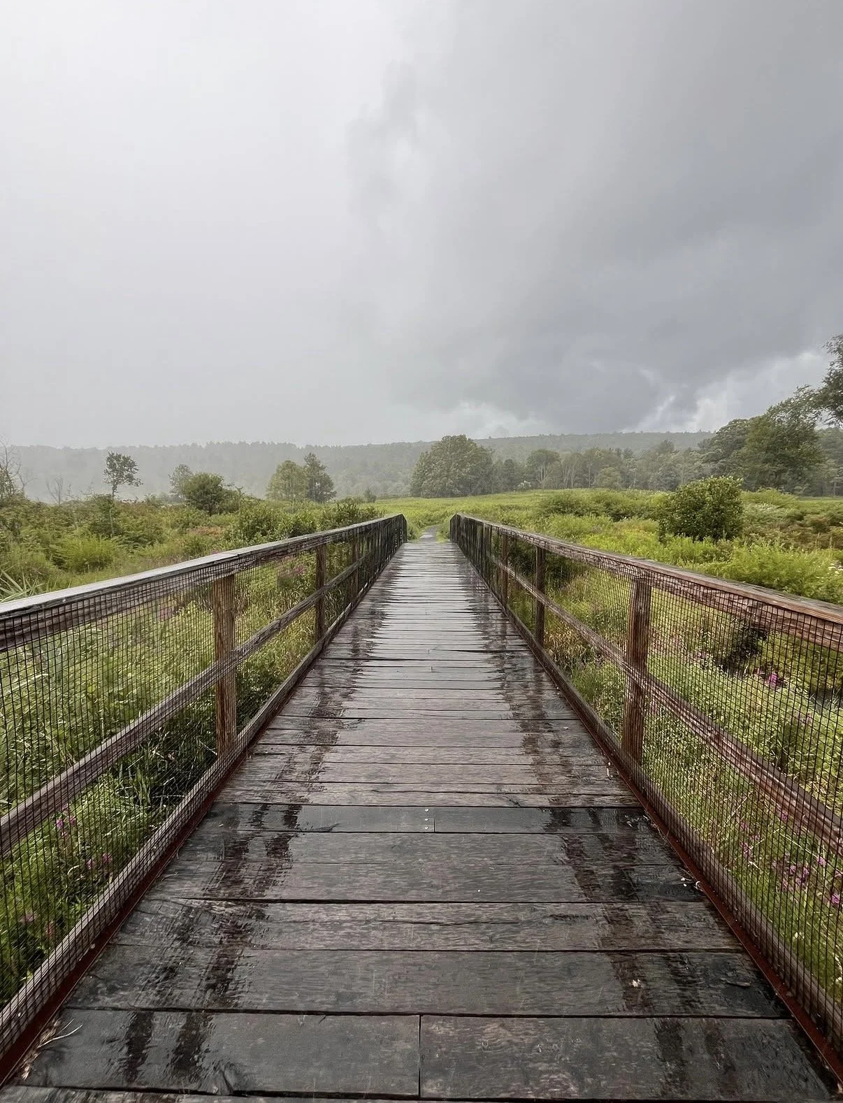 Rain-soaked wooden bridge in Great Barrington, Berkshire County, Massachusetts
