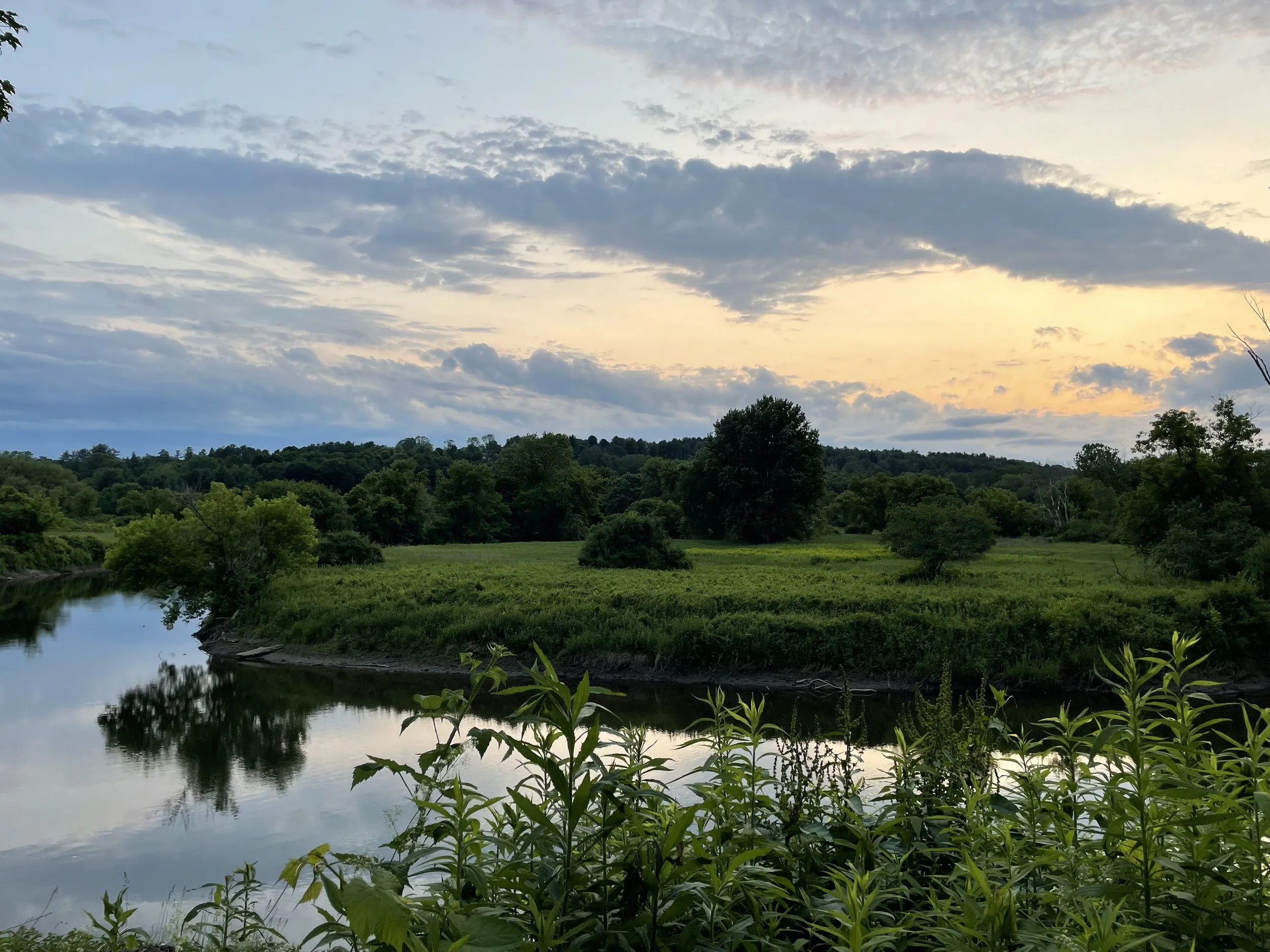 View of the Housatonic River from the backyard of the Common Collab office at 405 Stockbridge Road, Great Barrington, MA, Berkshire County