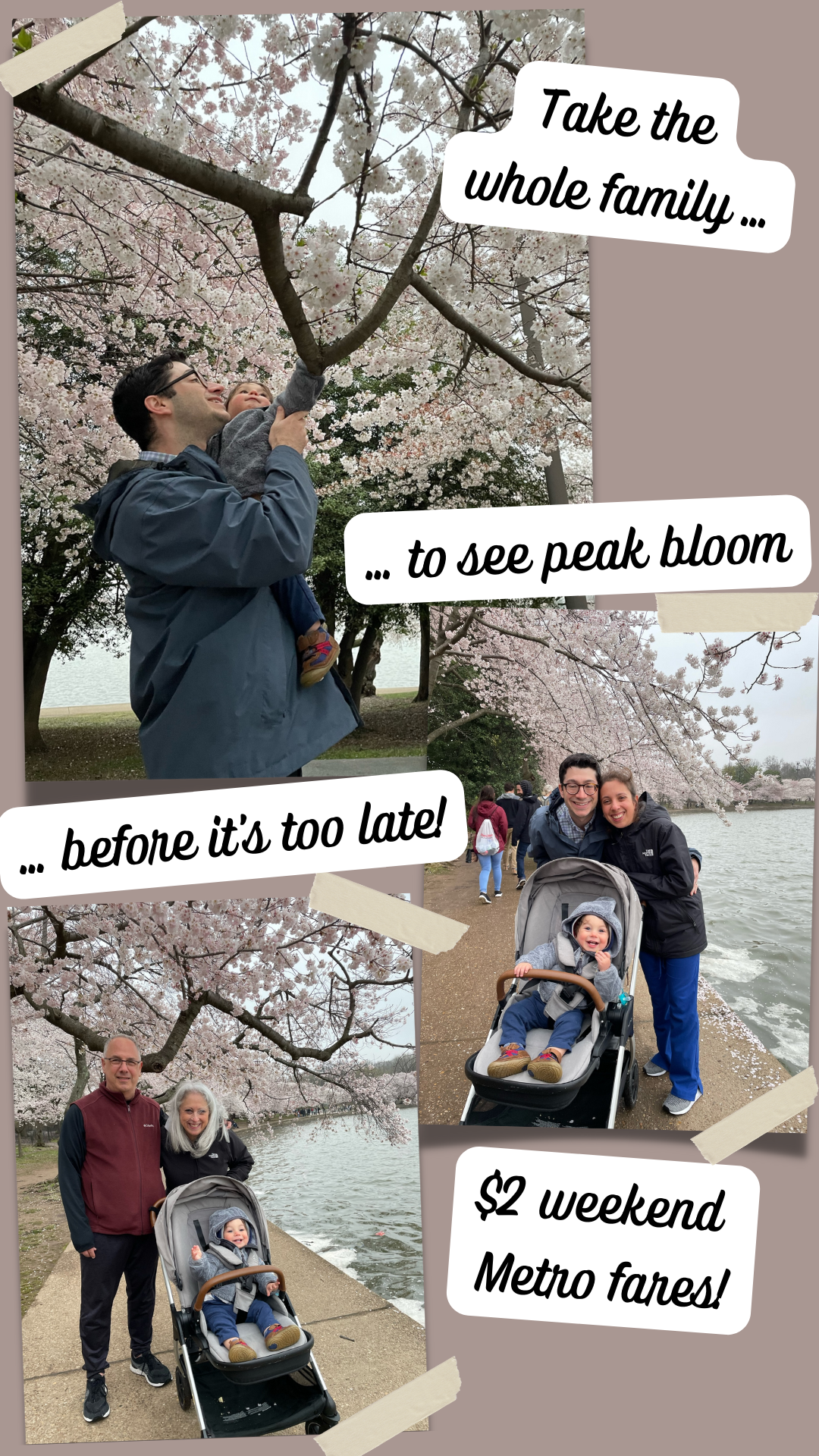 final story 2.png